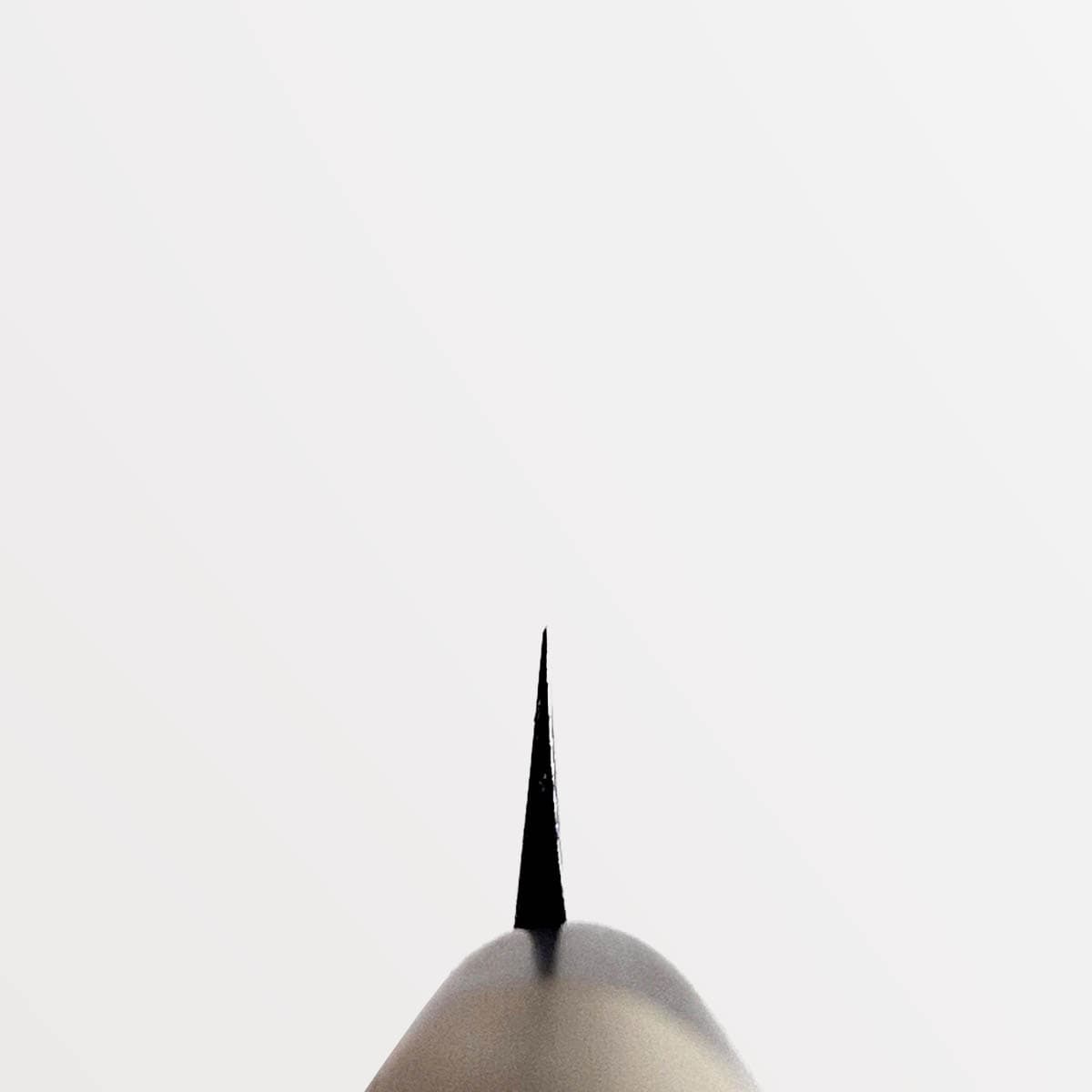 24cm Yanagiba, Shirogami II - TOJIRO bilde 2