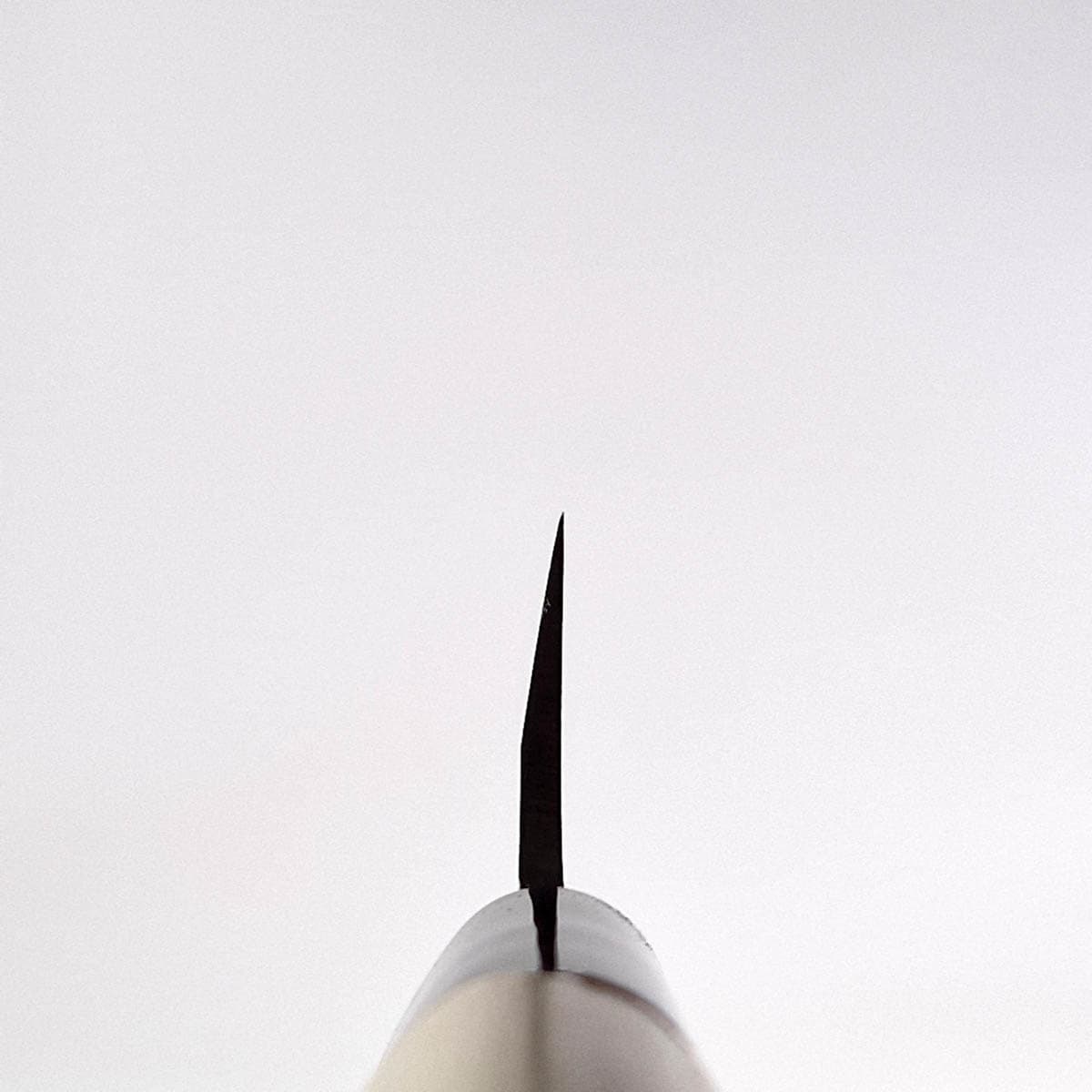 24cm Yanagiba - MASAHIRO bilde 5