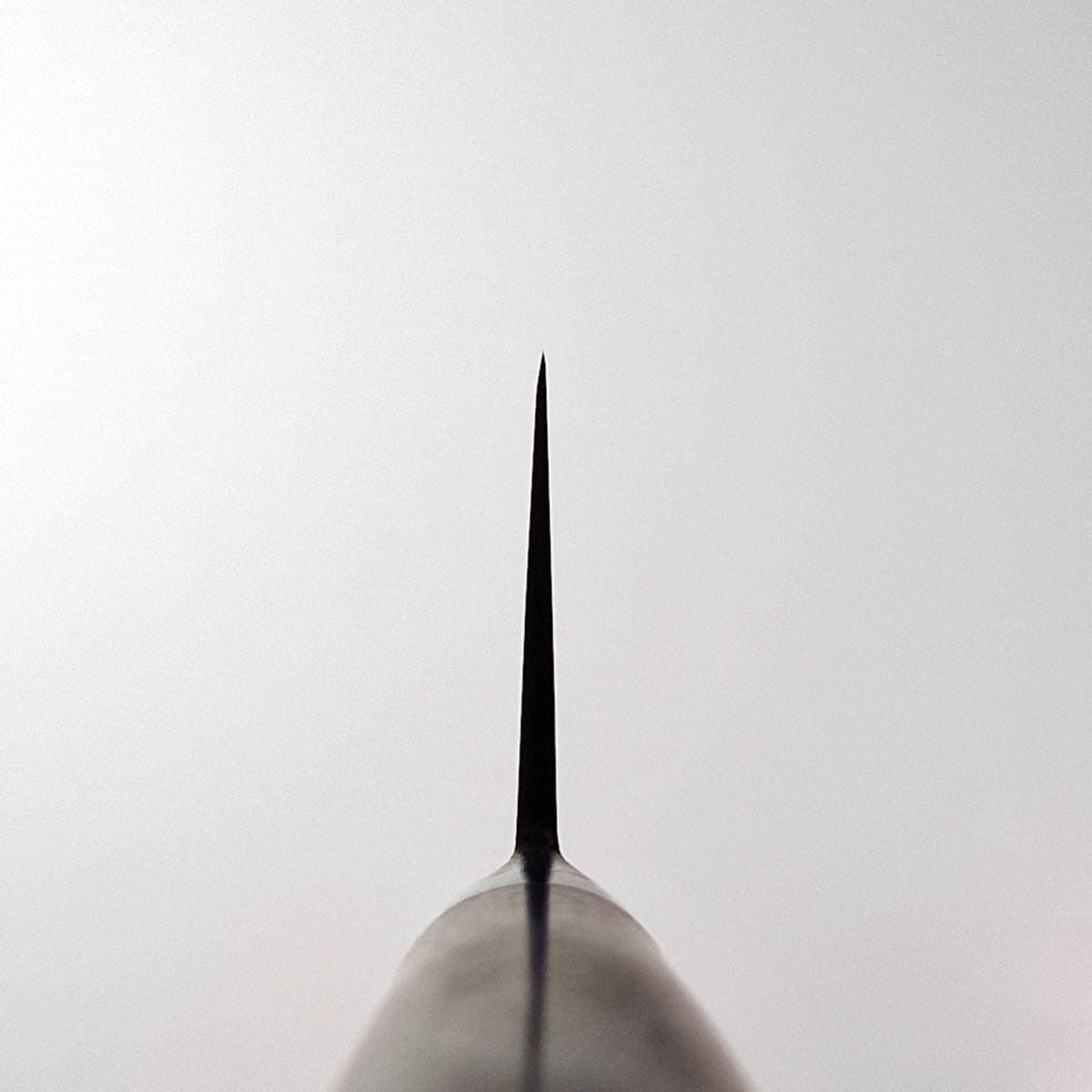 24cm Kokkekniv, MV-H - MASAHIRO bilde 5