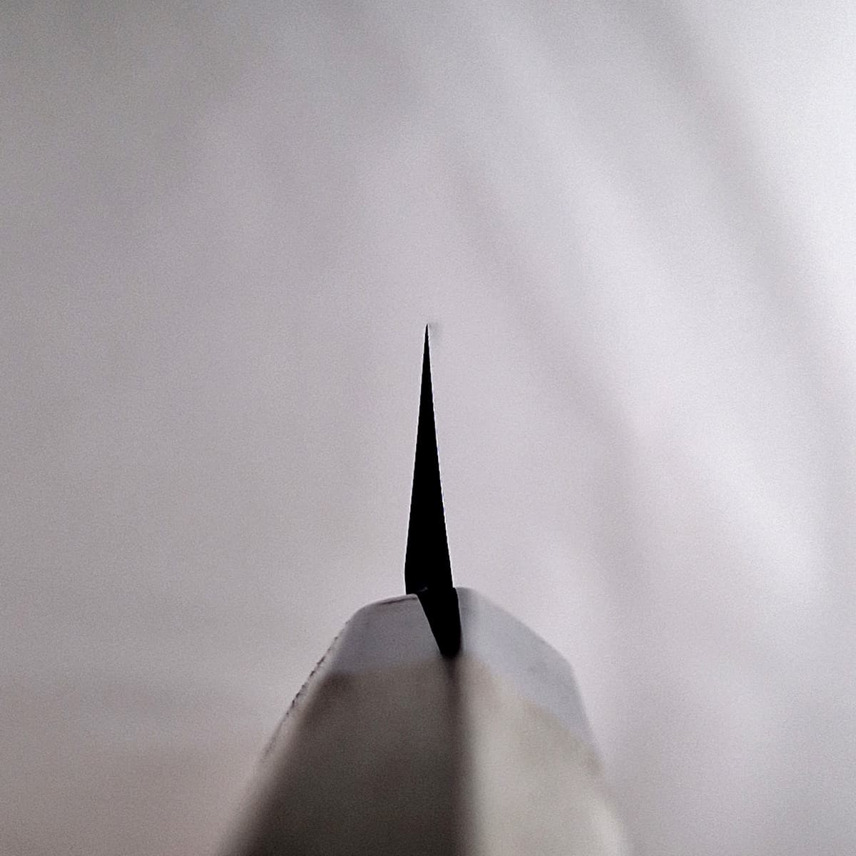 30cm Yanagiba, Shirogami II - HARUYUKI bilde 5