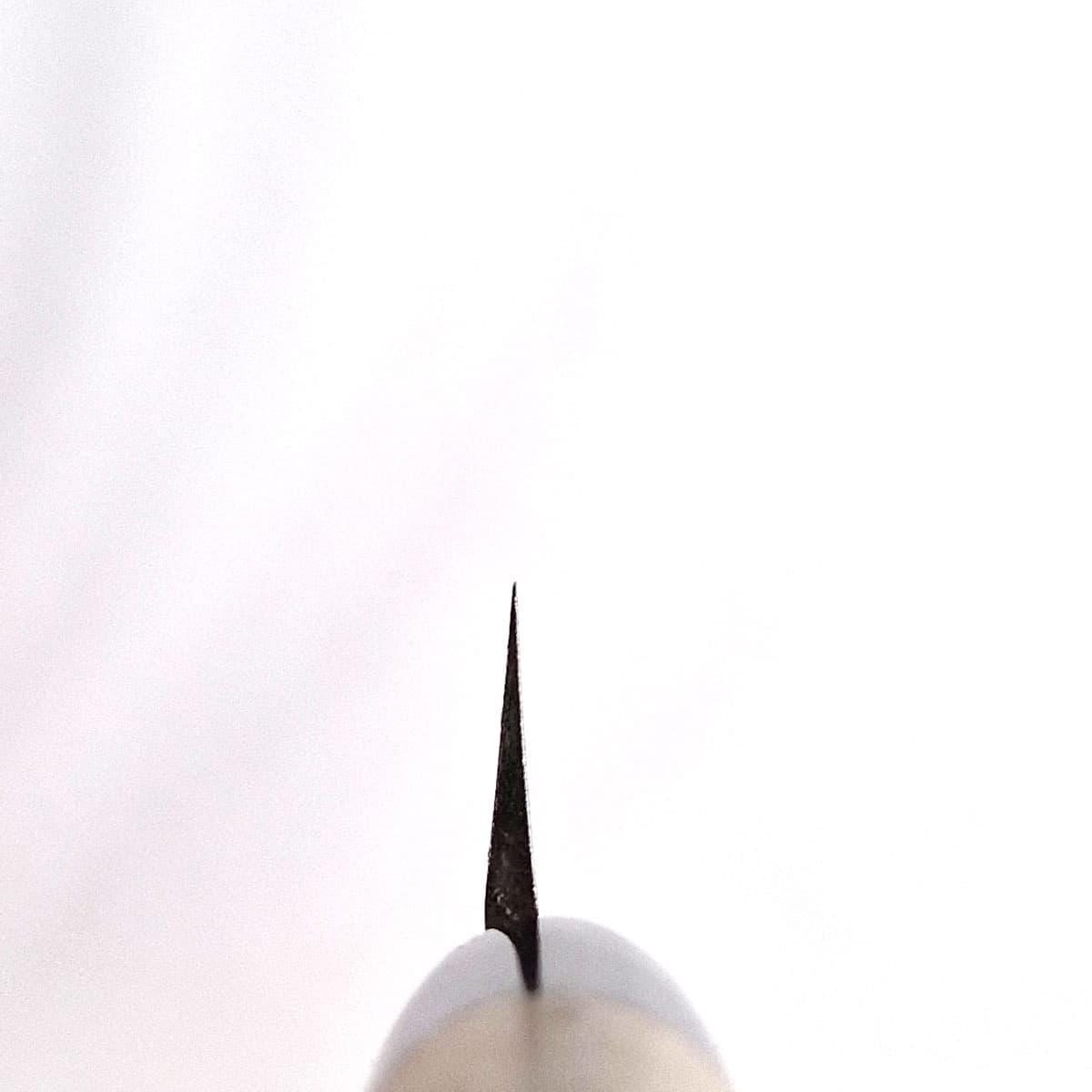 27cm Yanagiba, Molybden Vanadium - SAKAI KIKUMORI bilde 4
