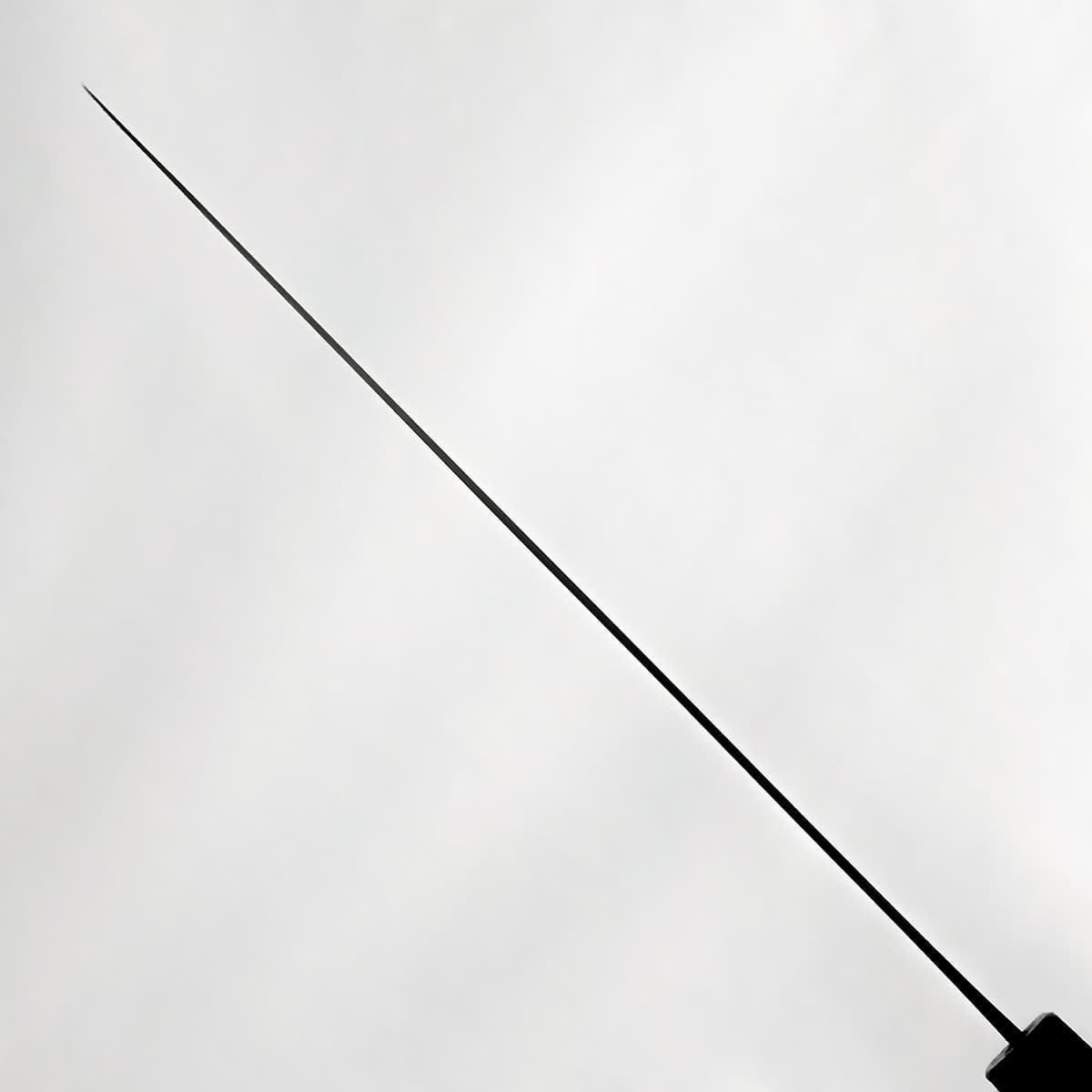 27cm Sujihiki VG10 "Peacock Handle" - bilde 3