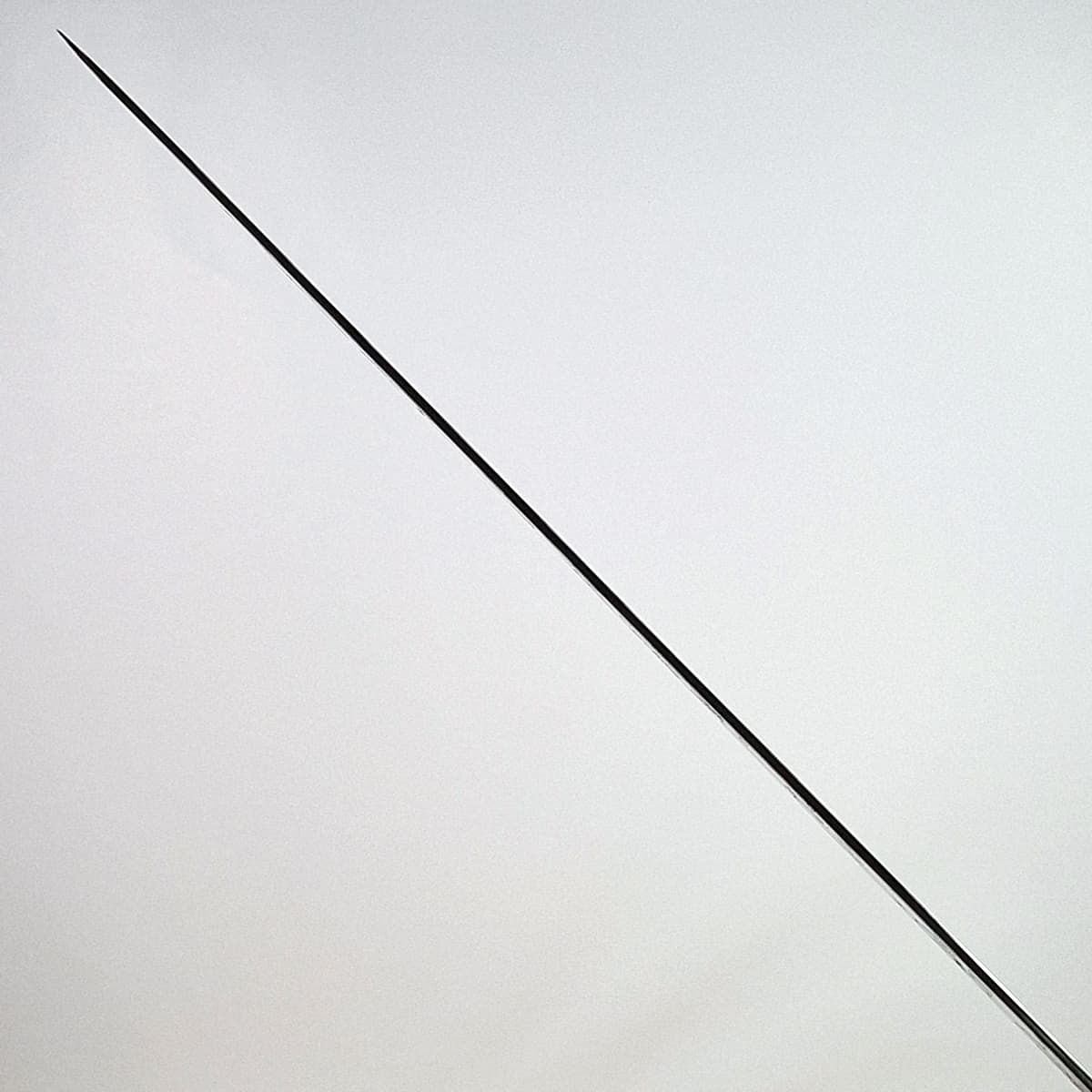 39cm Sakimaru, Damask, SG2 - SAJI bilde 7