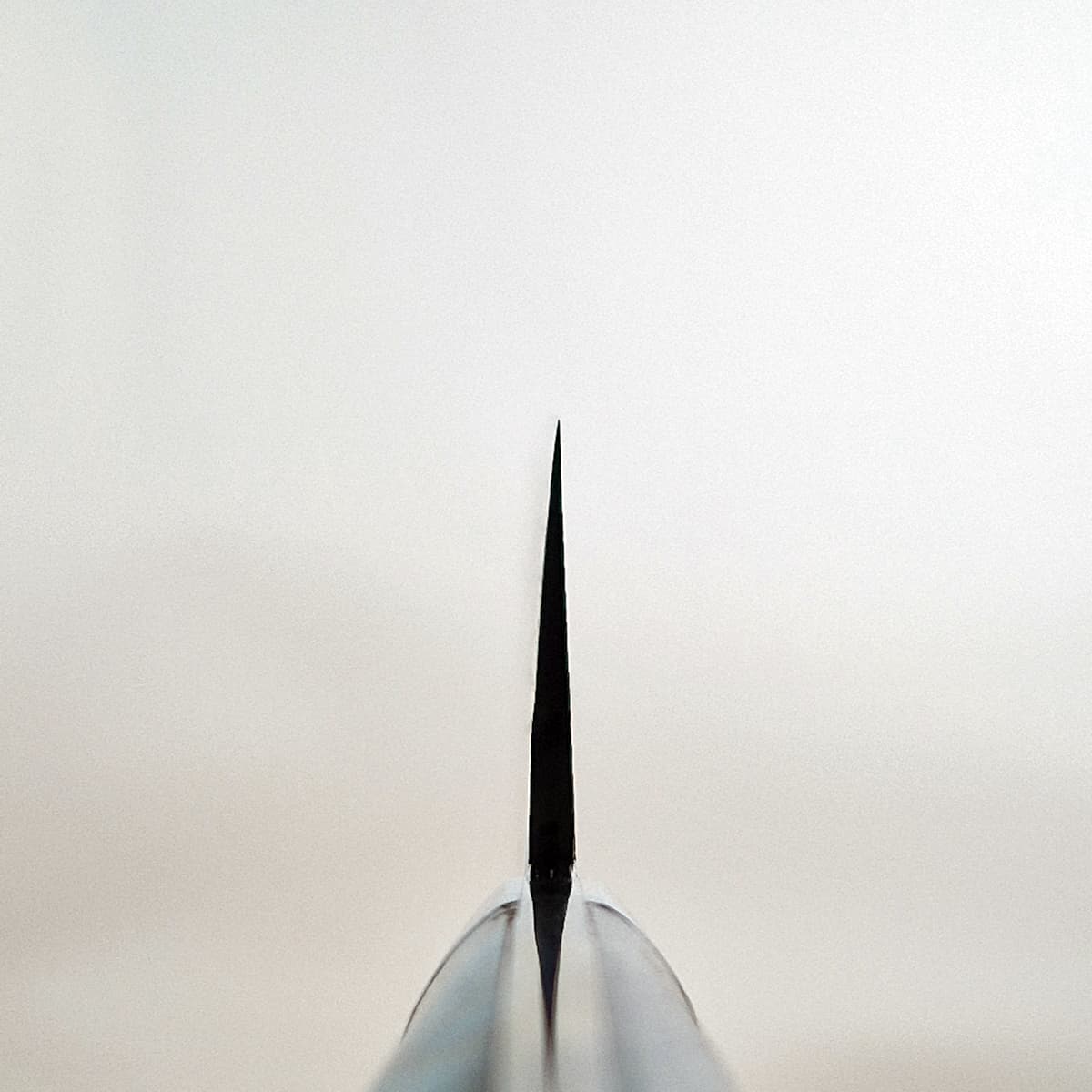 24cm Sakimaru, Damask, SG2 - SAJI bilde 5