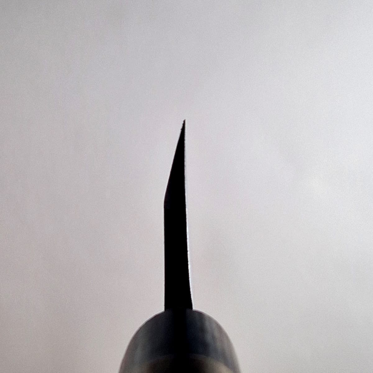10,5cm Deba, Shirogami II - TOJIRO bilde 5