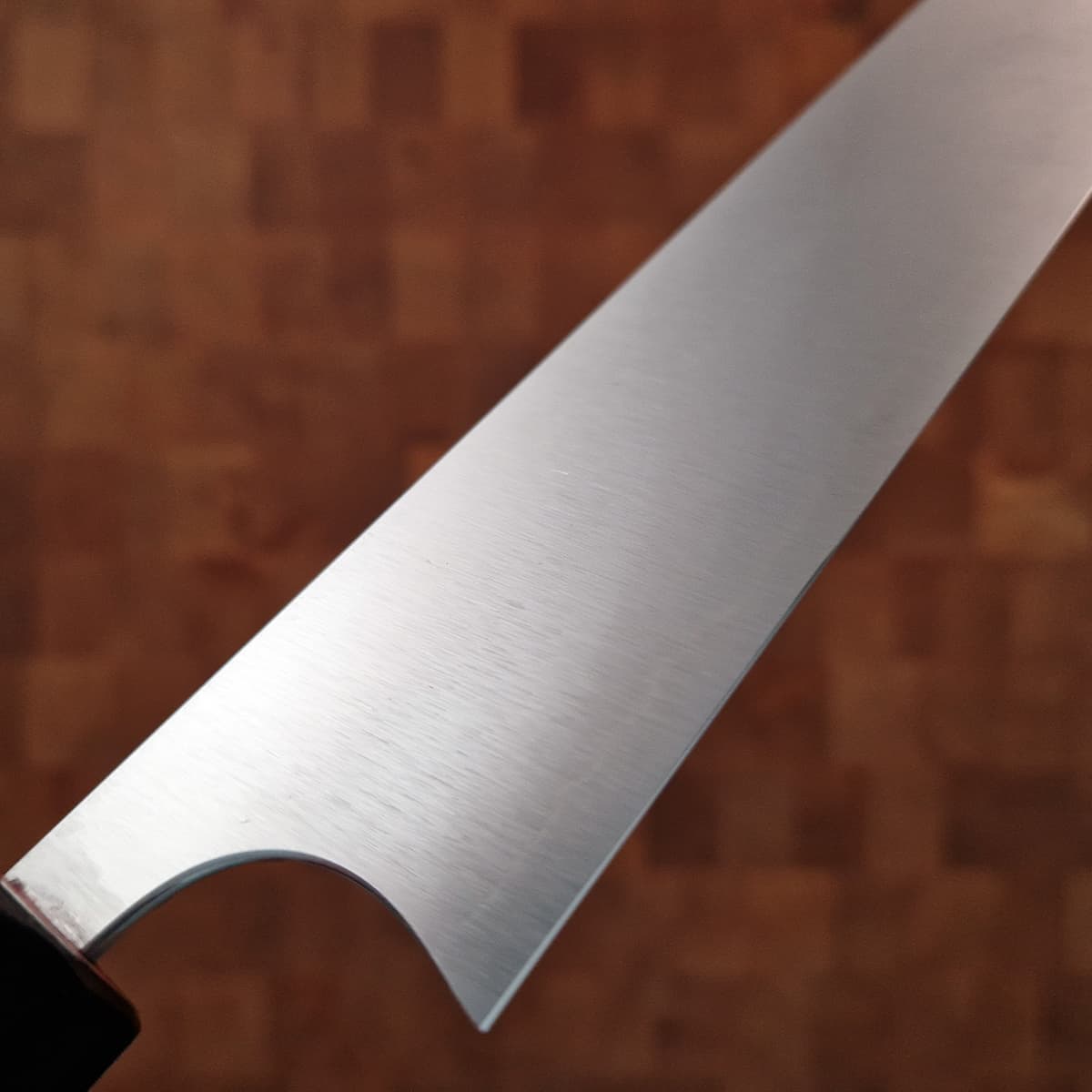 27cm Sujihiki R2  Kotetsu - SHIBATA bilde 4