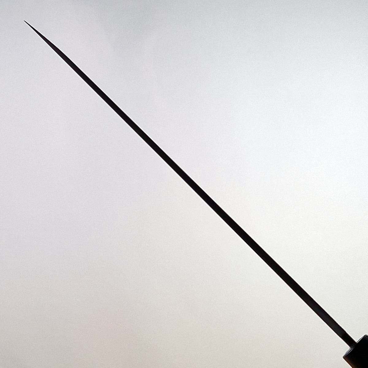 24cm Yanagiba, Shirogami II, inkl Saya - MASAMOTO bilde 5
