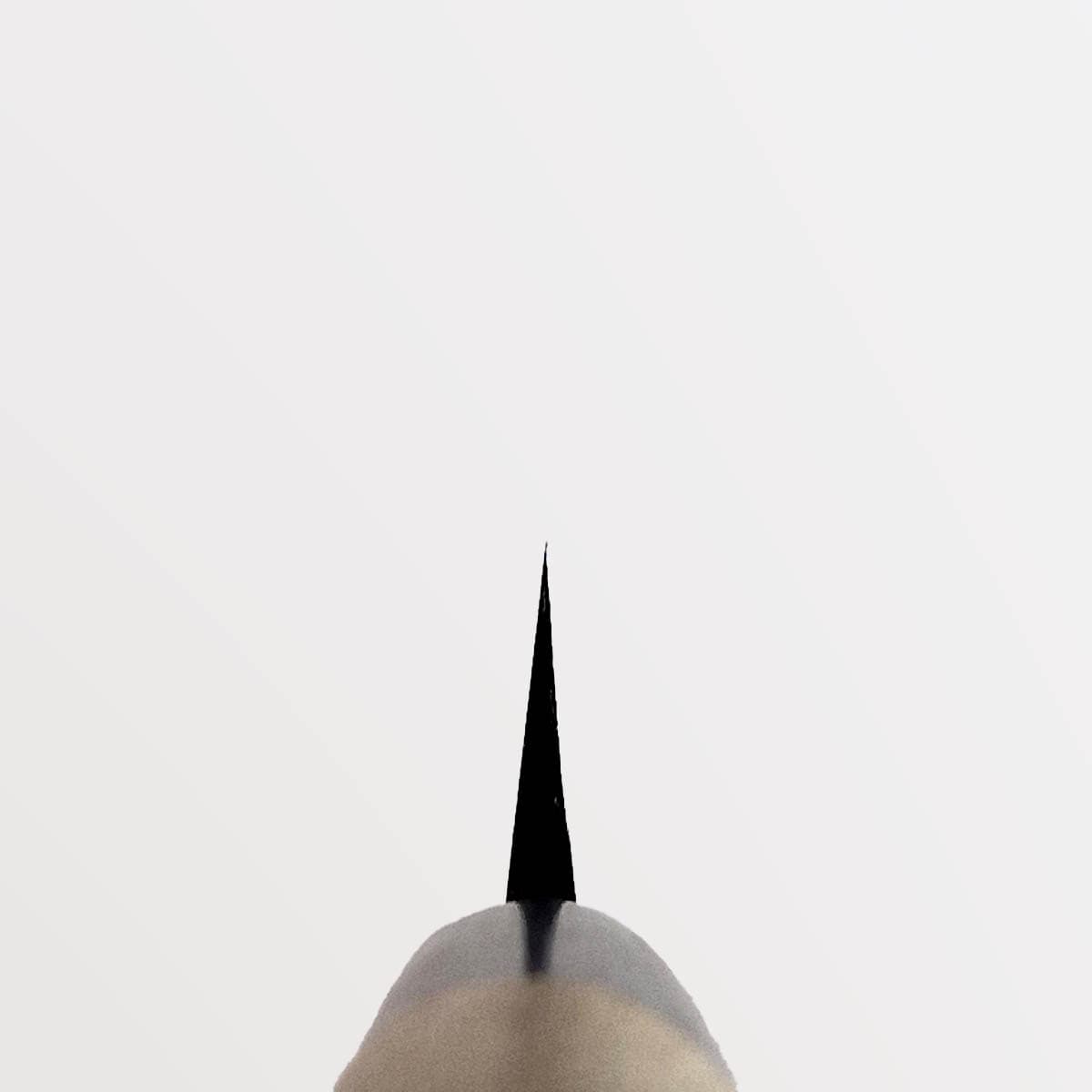 27cm Yanagiba, Shirogami II - TOJIRO bilde 4