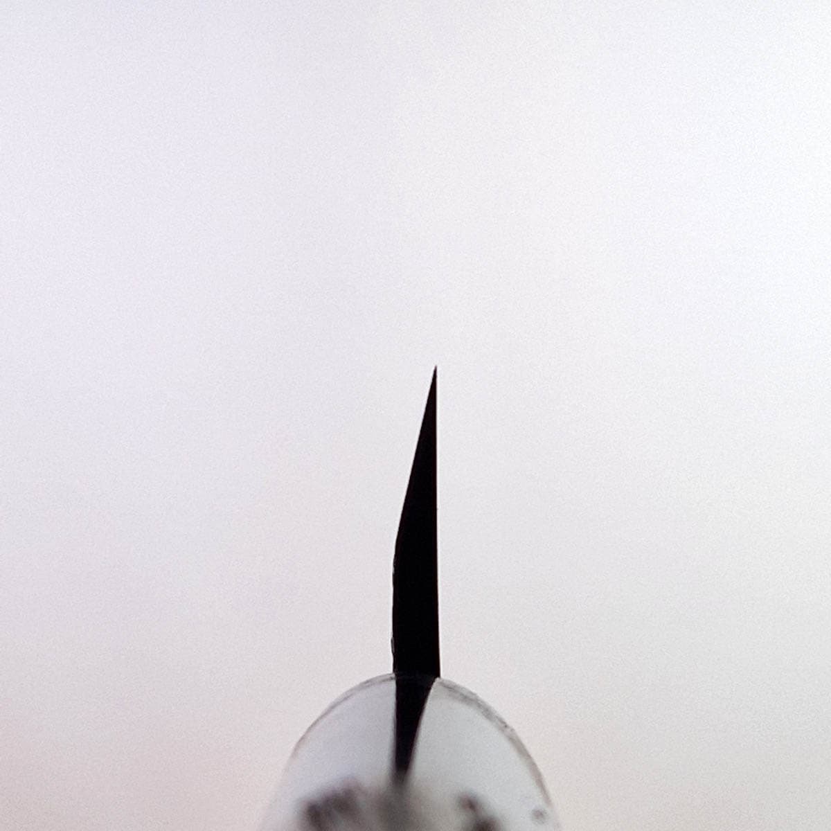 12cm Kochobo, Shirogami II (Laminat) - SHIRO KAMO bilde 6