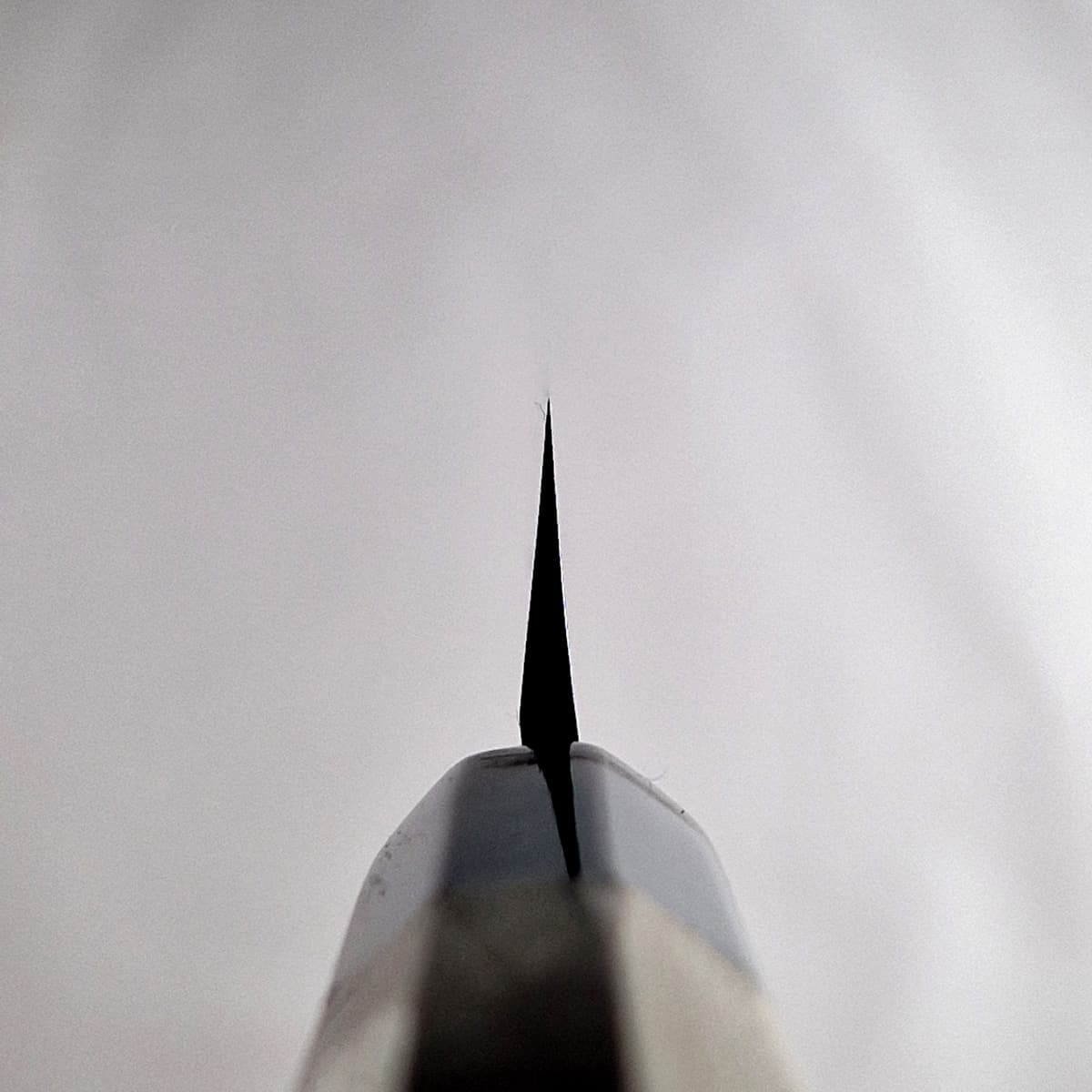 21cm Yanagiba, Shirogami II - HARUYUKI bilde 5