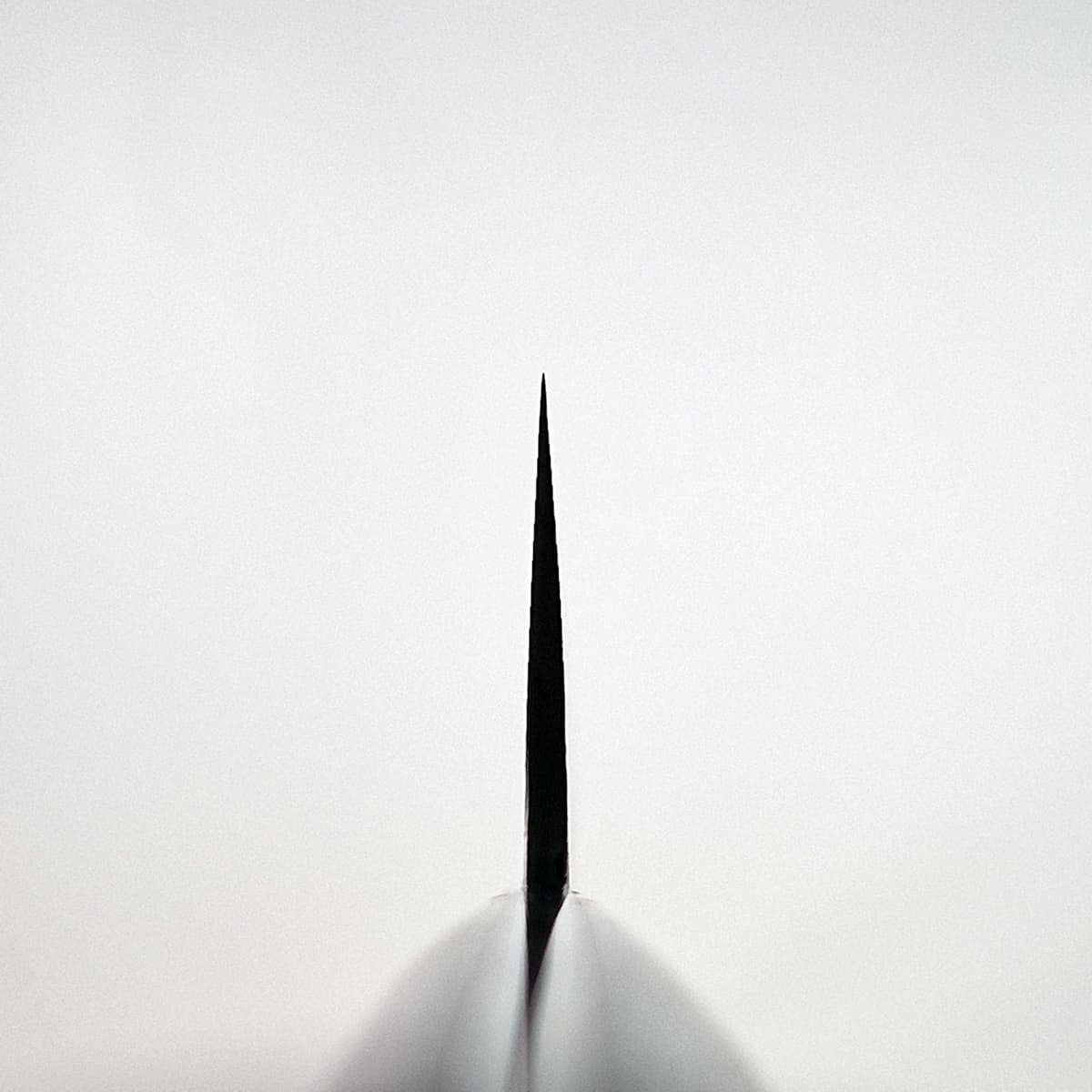 39cm Sakimaru, Damask, SG2 - SAJI bilde 2