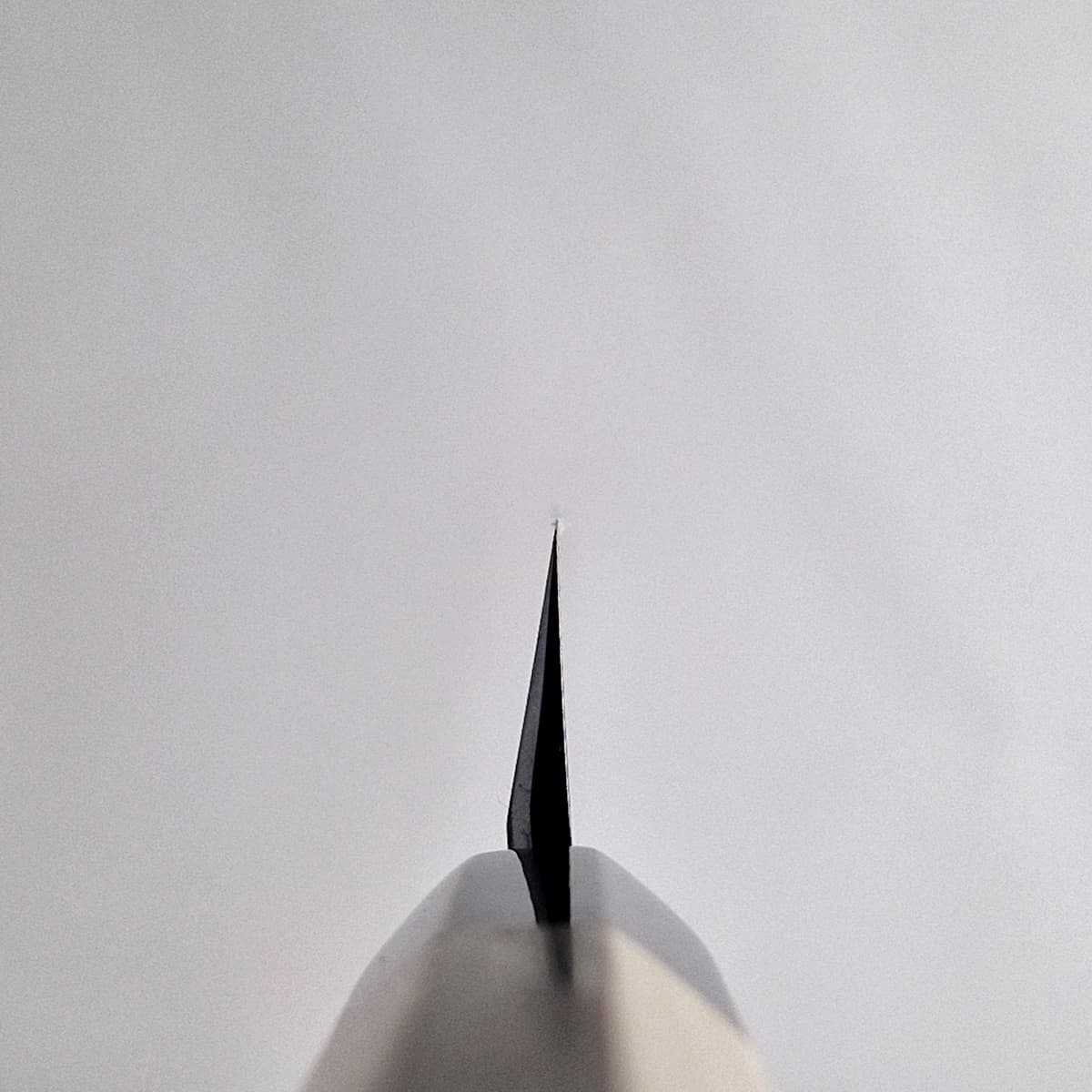 27cm Yanagiba, Shirogami II - HARUYUKI bilde 4