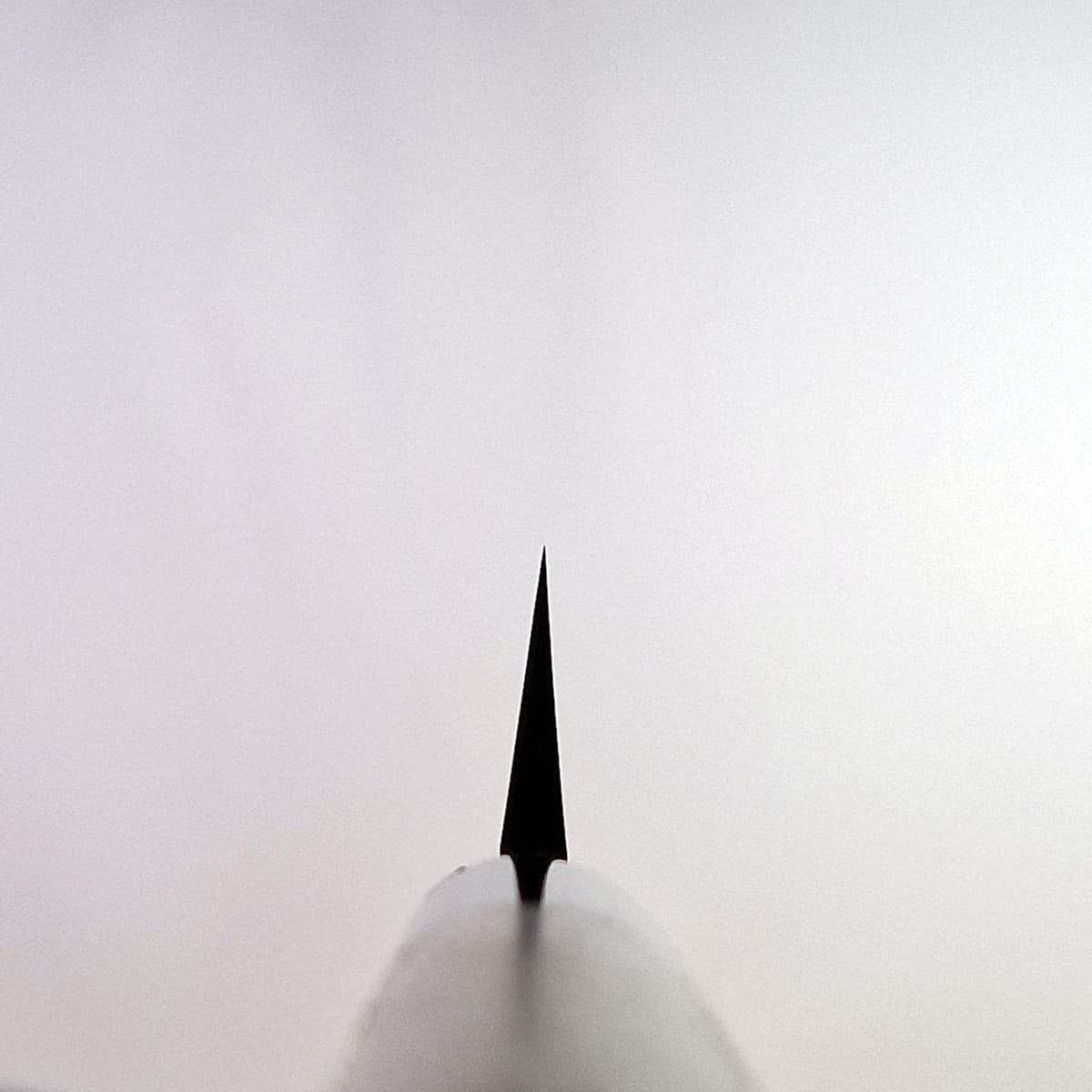 30cm Yanagiba, Shirogami II, inkl Saya - MASAMOTO bilde 4