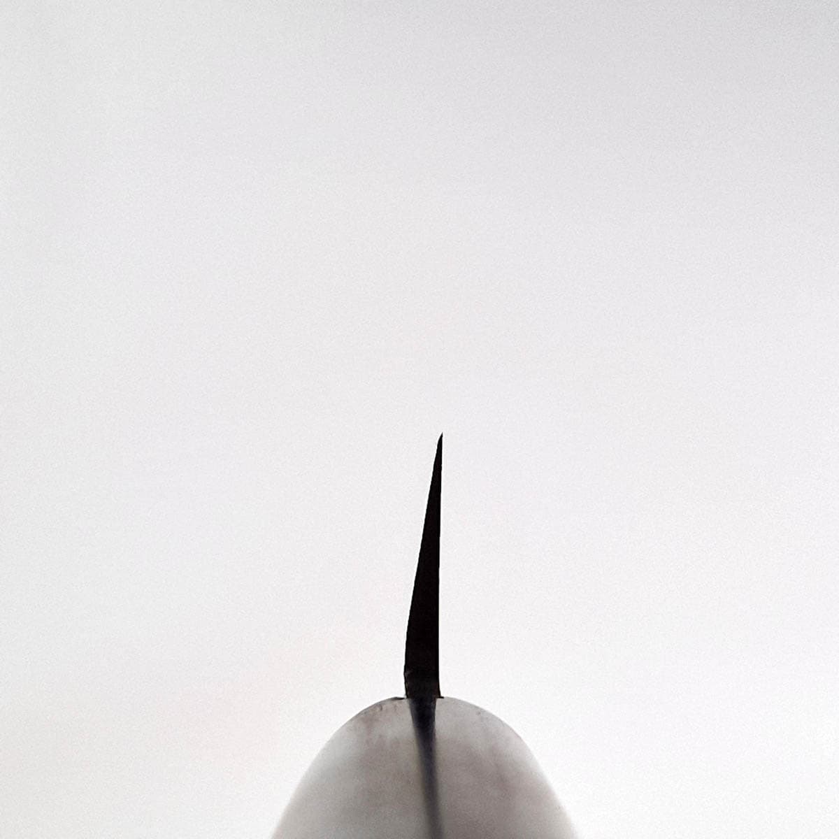 20cm Tradisjonell Yanagiba - MASAHIRO bilde 3