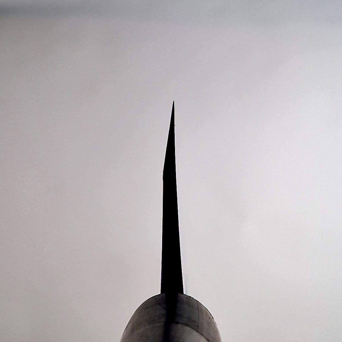 21cm Deba, Shirogami II - TOJIRO bilde 2