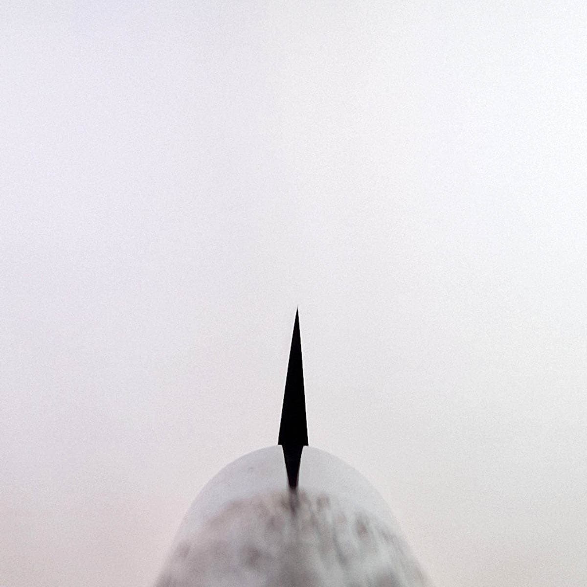 21cm Yanagiba, Shirogami II (Laminat) - SHIRO KAMO bilde 2