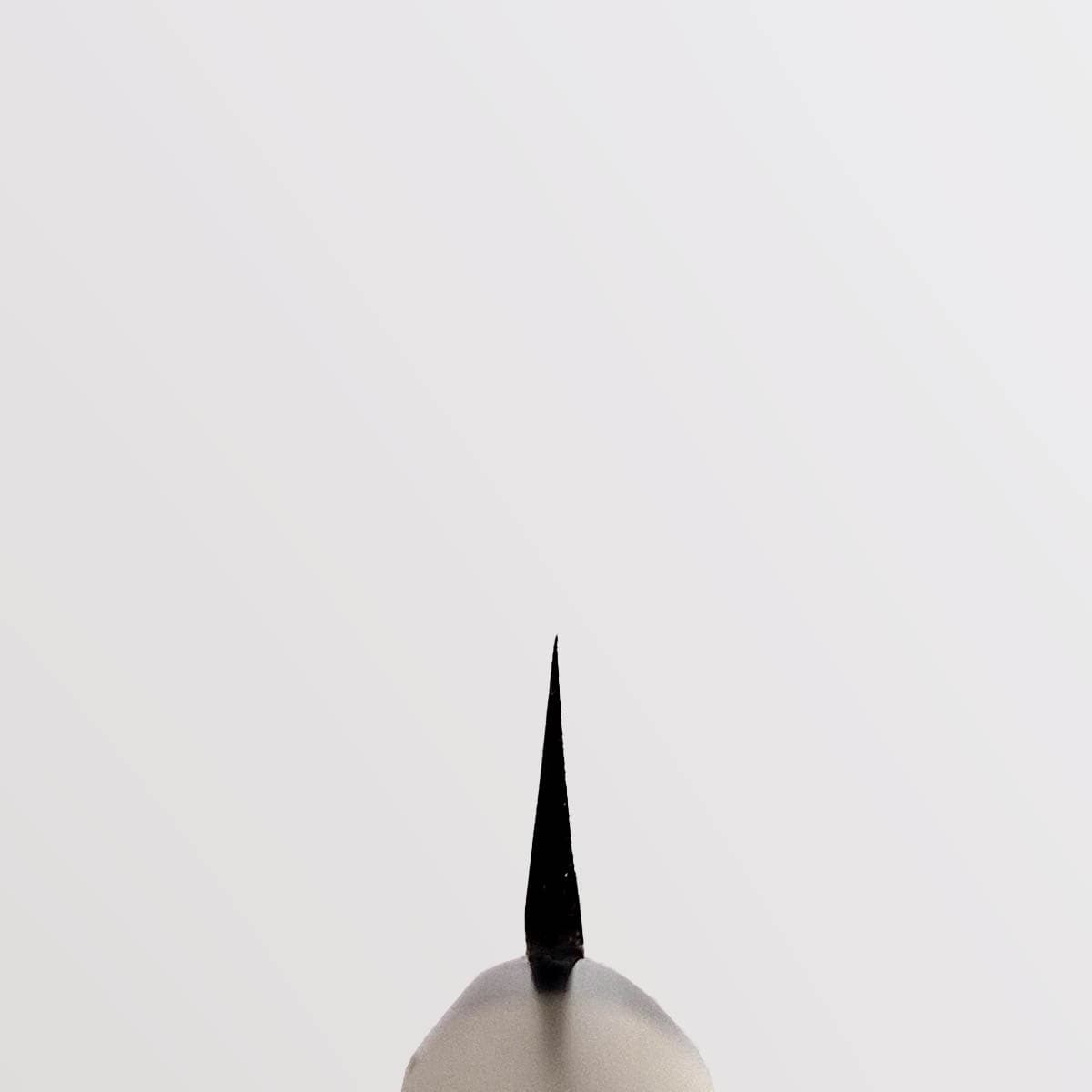 21cm Yanagiba, Shirogami II - TOJIRO bilde 4