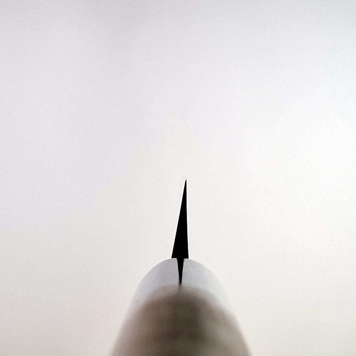 24cm Yanagiba, Shirogami II, inkl Saya - MASAMOTO bilde 6