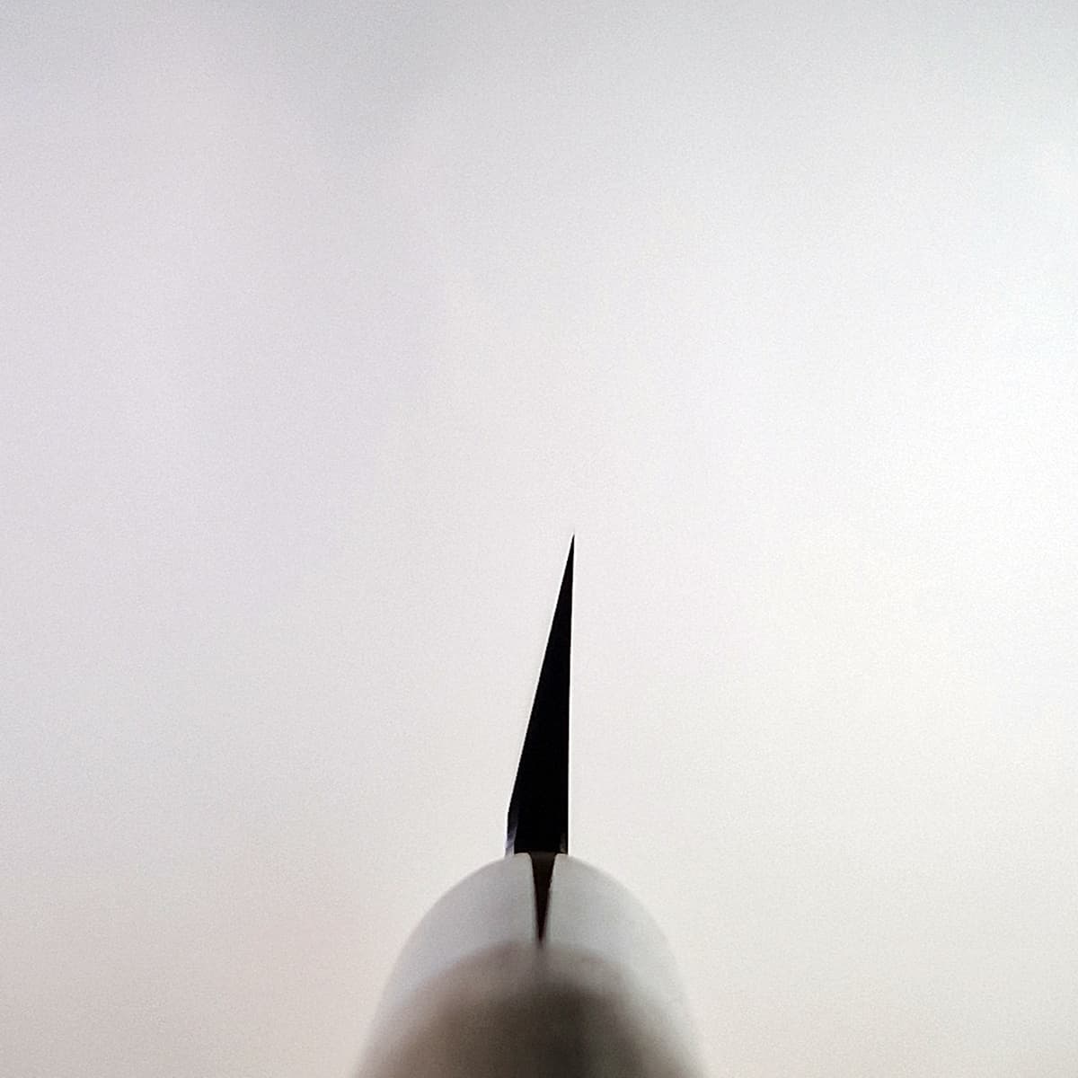 27cm Yanagiba, Shirogami II, inkl Saya - MASAMOTO bilde 5