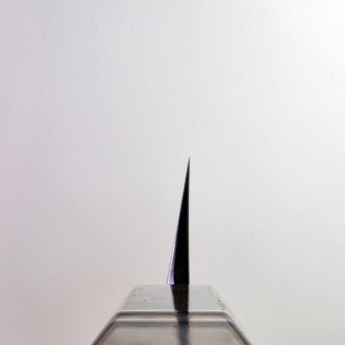 27cm Yanagiba, Mirror Polished, Shirogami II, inkl Saya - SAKAI KIKUMORI bilde 10
