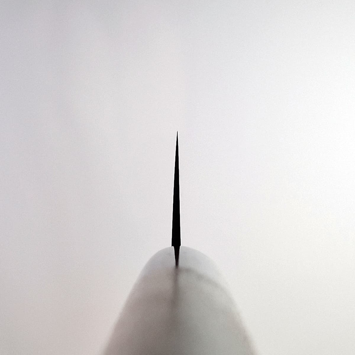 24cm Sujihiki, Shirogami II, inkl Saya - MASAMOTO bilde 6