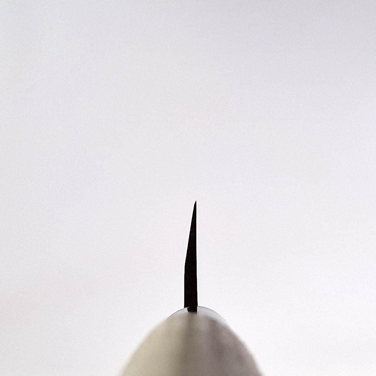 21cm Yanagiba - MASAHIRO bilde 3
