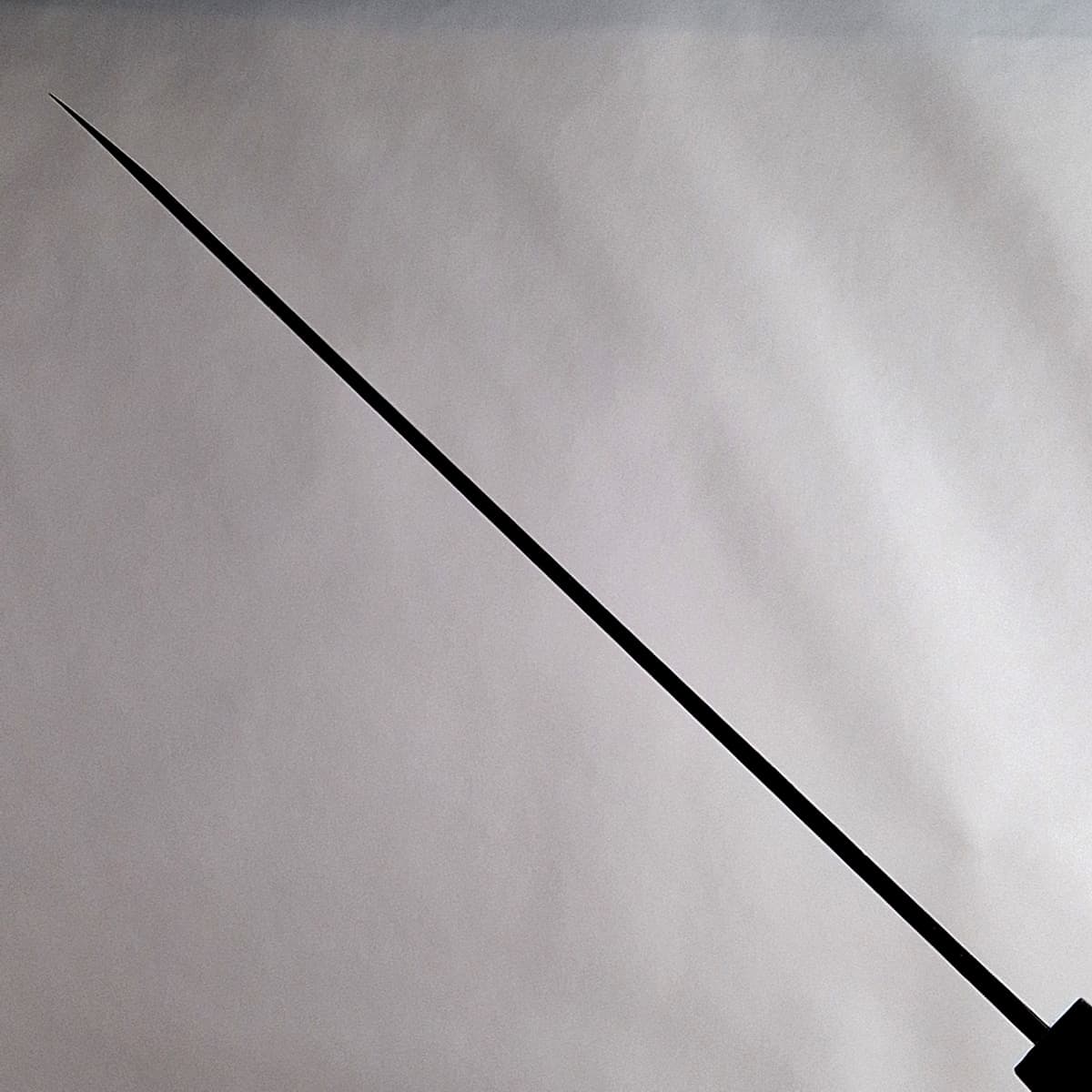 24cm Yanagiba, Shirogami II - HARUYUKI bilde 5