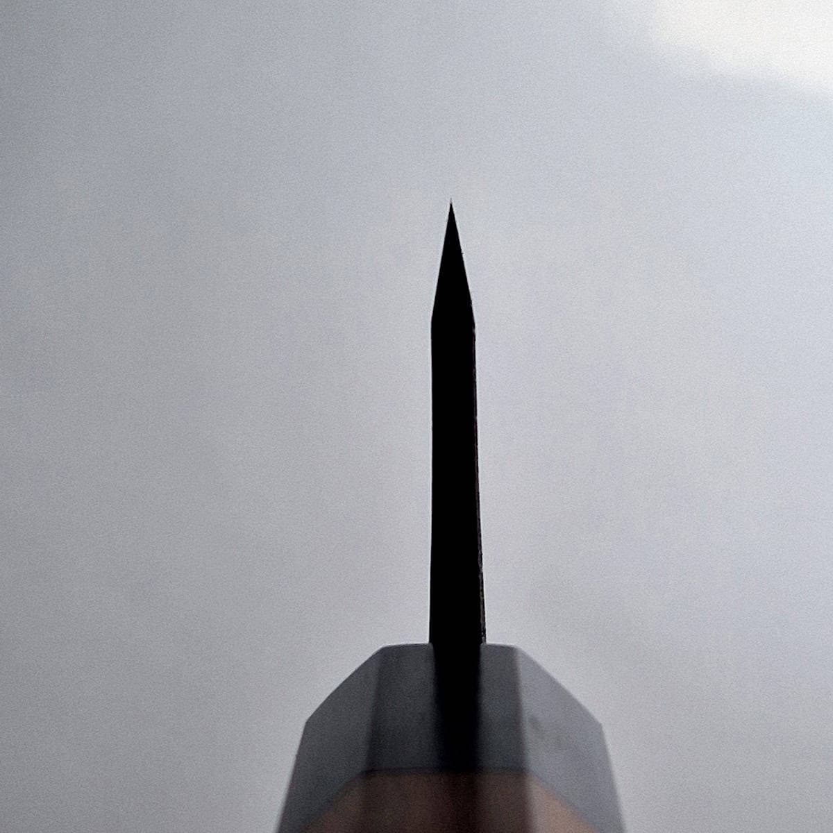 15cm Deba Medium, Super Aogami, NAS - TAKEDA bilde 4