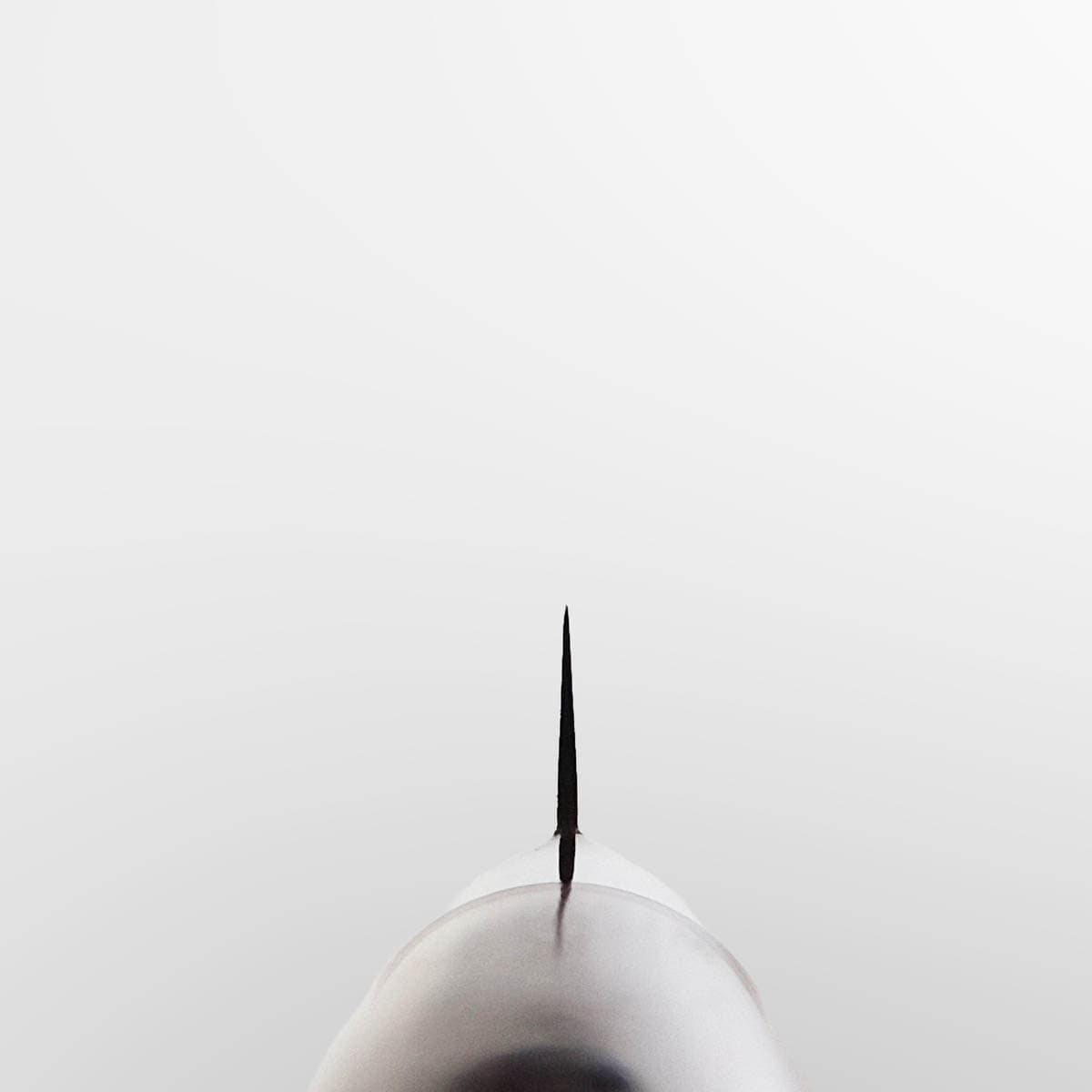 7cm Universalkniv - TAMAHAGANE SAN bilde 5