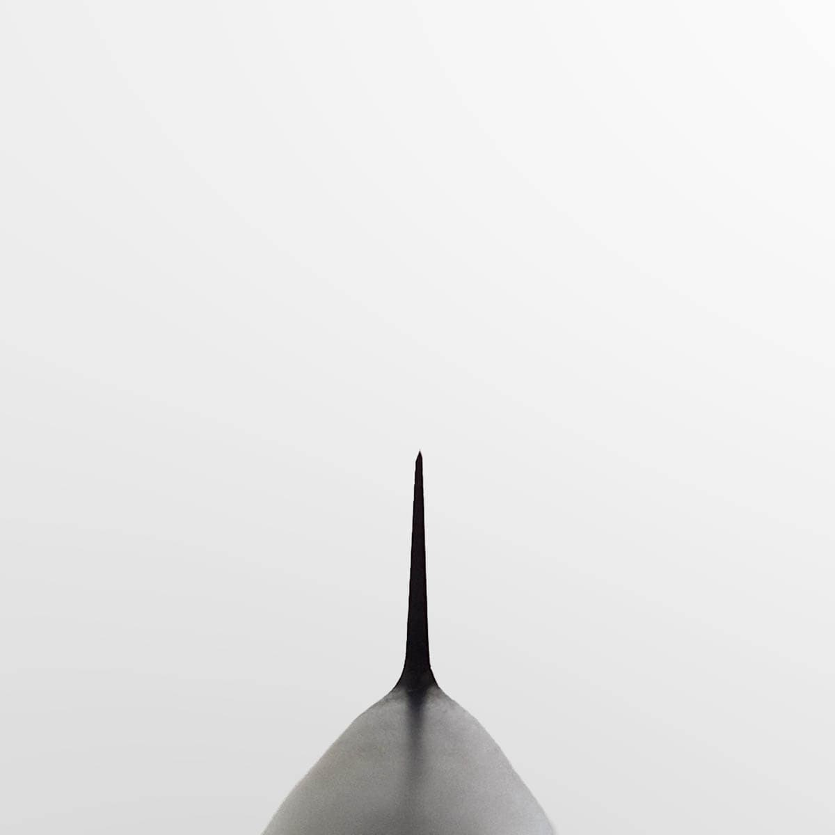 12cm Universalkniv, MV-S - MASAHIRO bilde 5