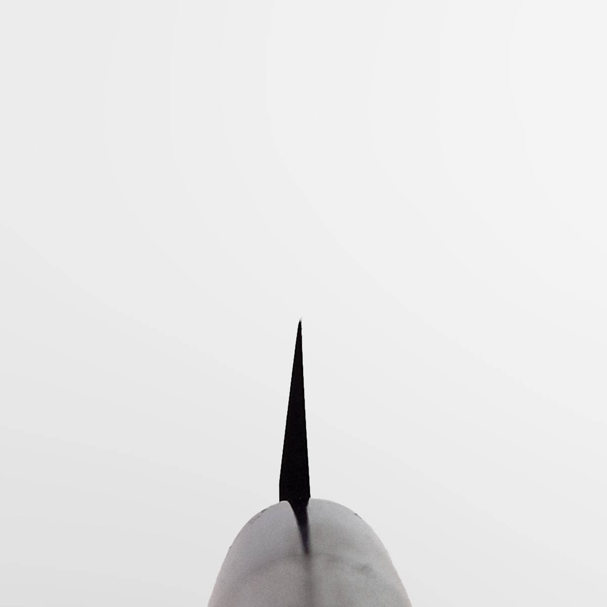 21cm Yanagiba, AUS8, Migaki - HARUYUKI bilde 5