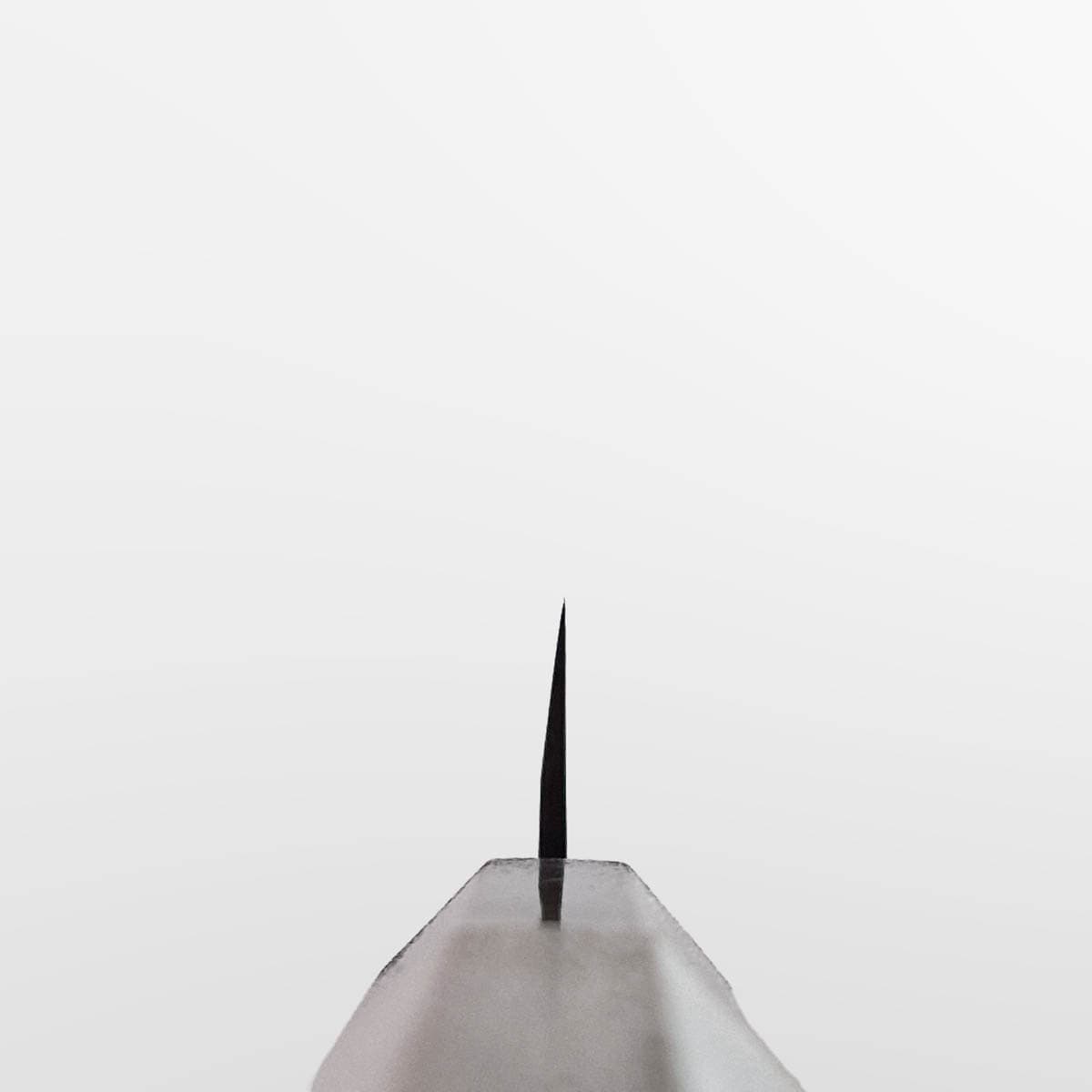 21cm Yanagiba, Ryutoku - TOJIRO bilde 4
