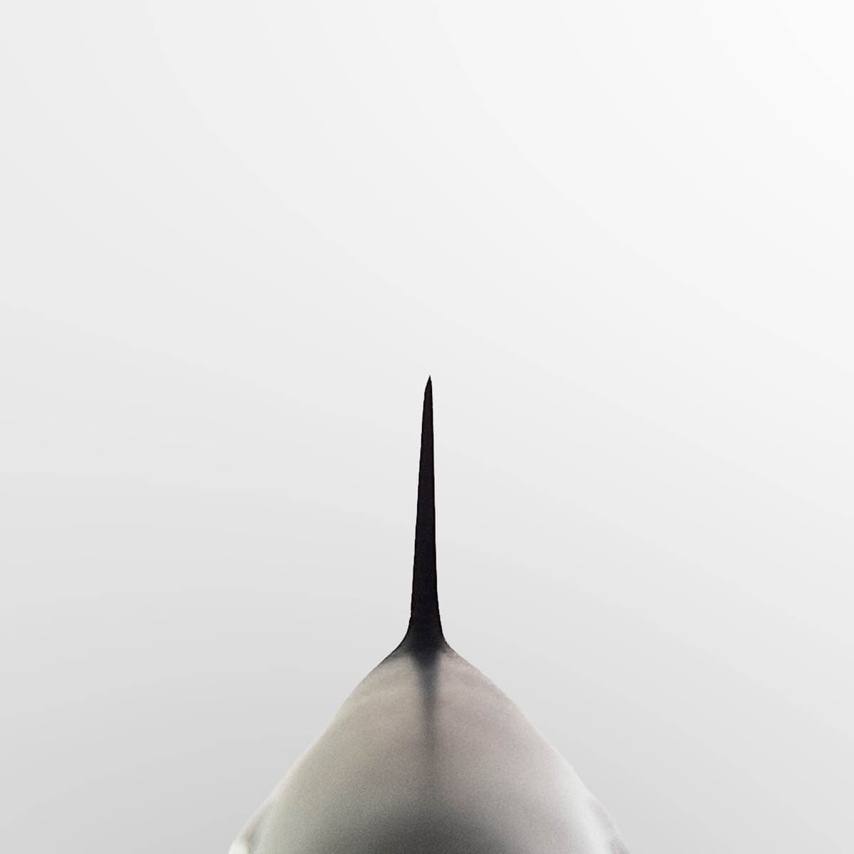 27cm Trancheringskniv, MV-S - MASAHIRO bilde 5