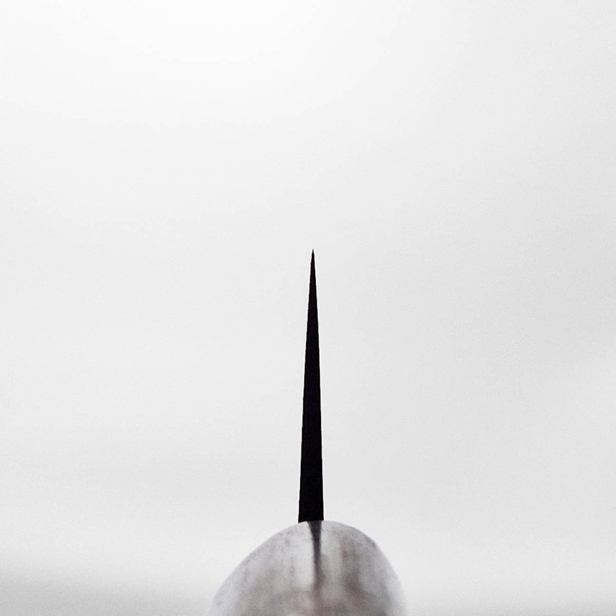 27cm Sujihiki, Aogami II - SHIRO KAMO bilde 5
