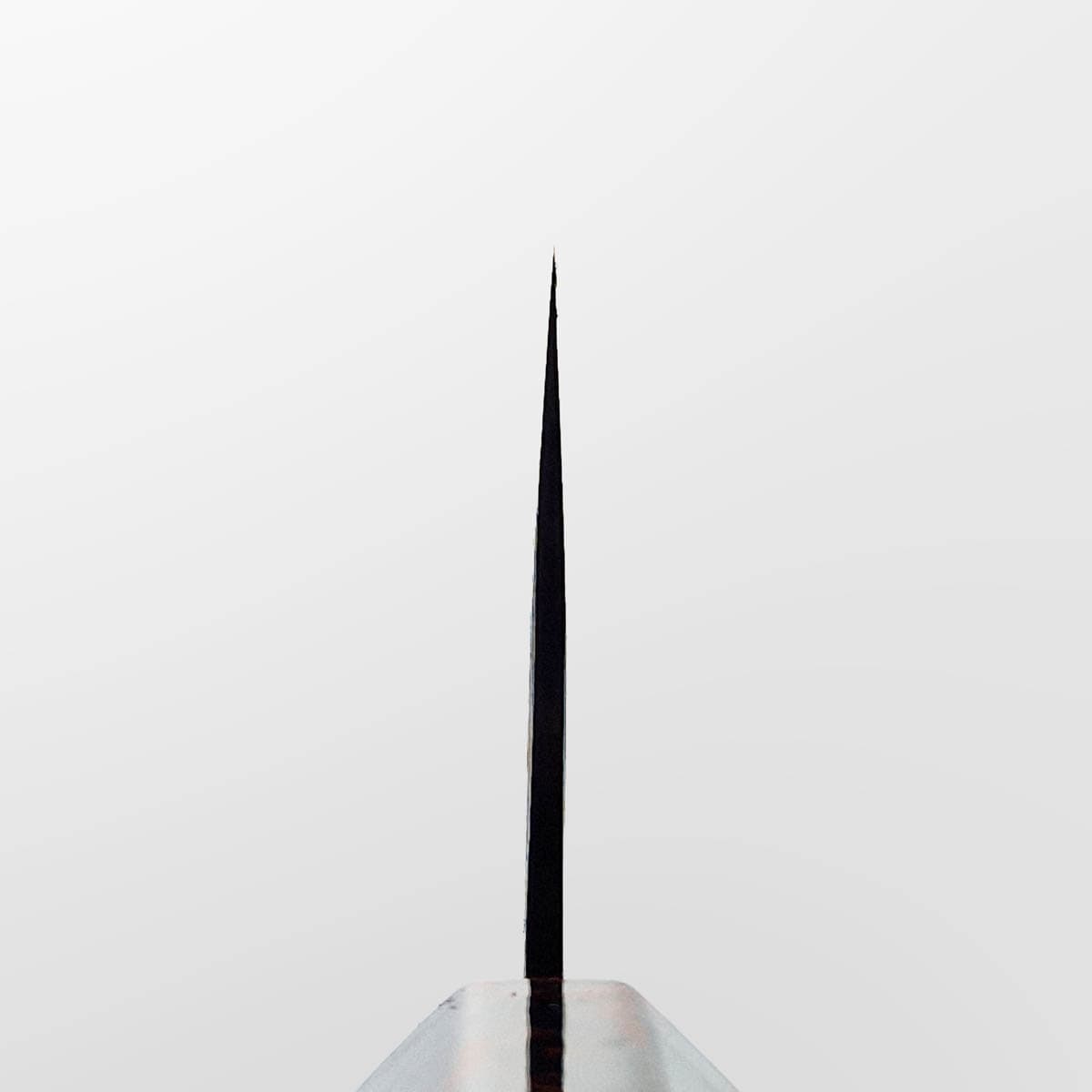 16.5cm Grønnsakskniv (Nakiri) SG2, Ironwood - SAJI bilde 4
