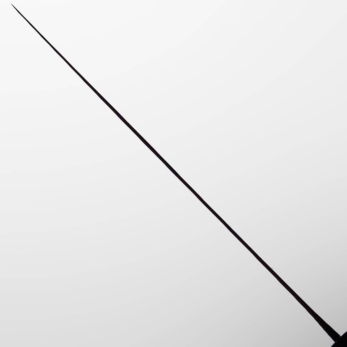 27cm Sujihiki, Aogami II - SHIRO KAMO bilde 4