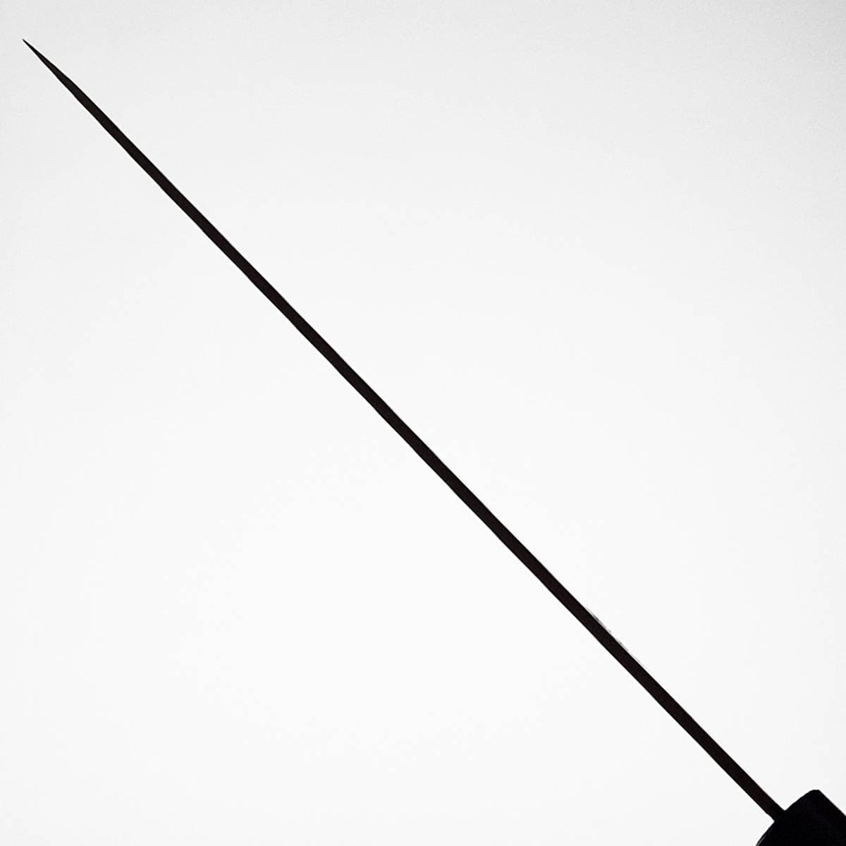 27cm Yanagiba, AUS8, Migaki - HARUYUKI bilde 6