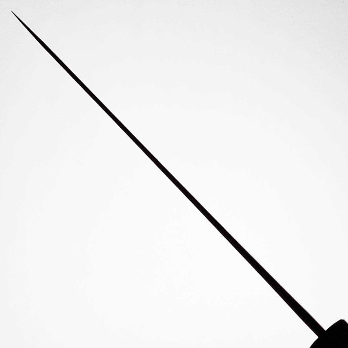 21cm Kokkekniv (gyoto), "Kumokage", Aogami II - Hatsukokoro bilde 5