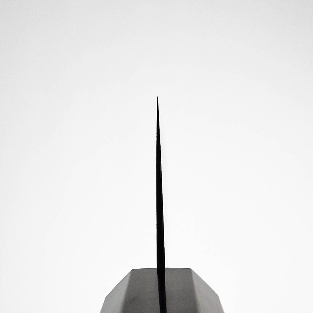 21cm Kokkekniv (Gyoto), Saihyo - HATSUKOKORO bilde 4