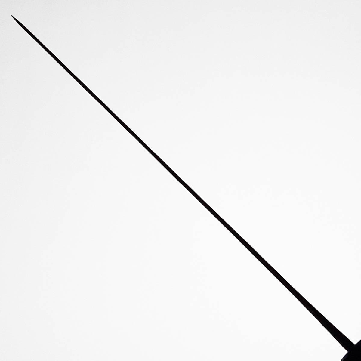24cm Kokkekniv (Gyoto), Aogami II - SHIRO KAMO bilde 5