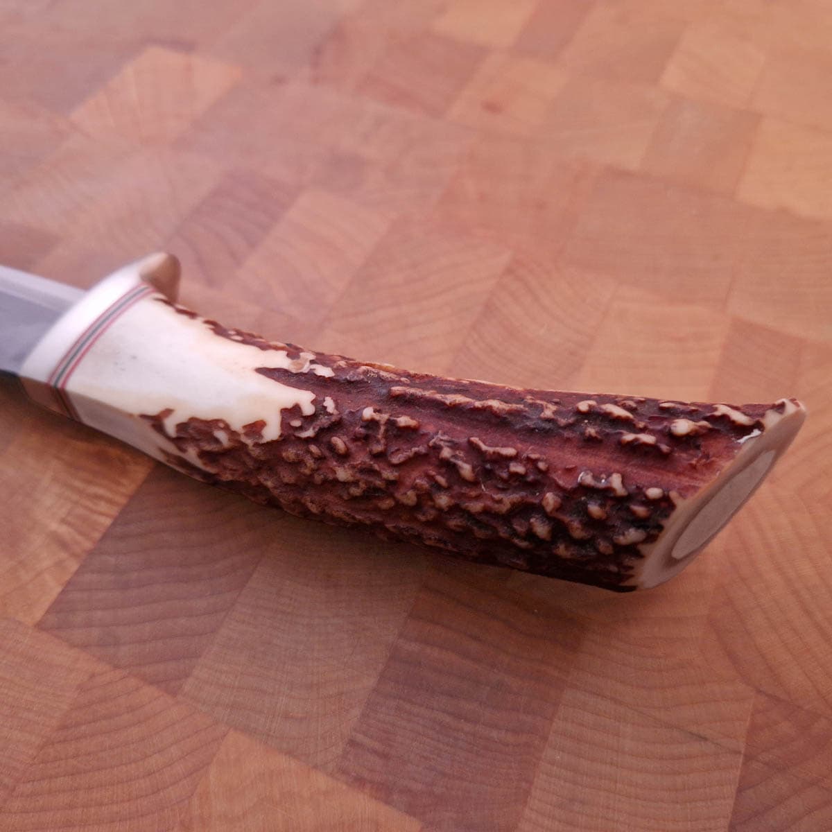TAKEDA Hunting knife - Stag bilde 4