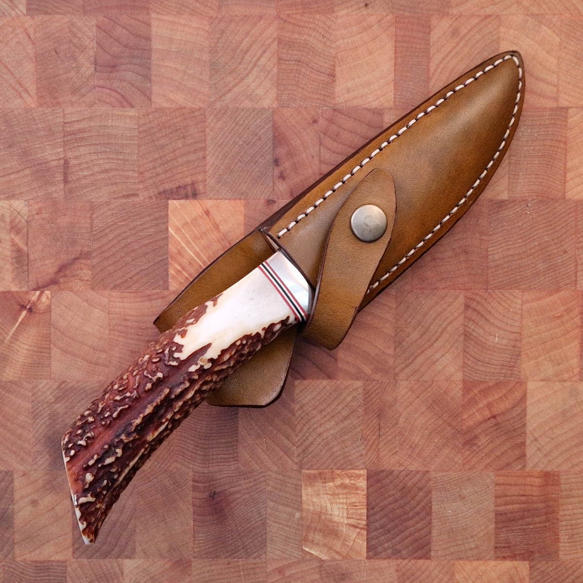 TAKEDA Hunting knife - Stag bilde 6