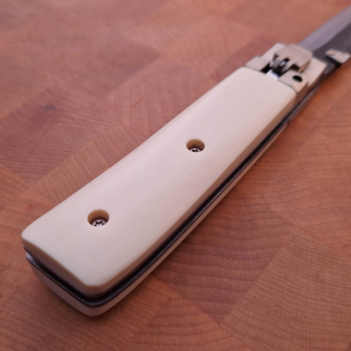 TAKEDA Foldekniv - Paper Micarta bilde 5