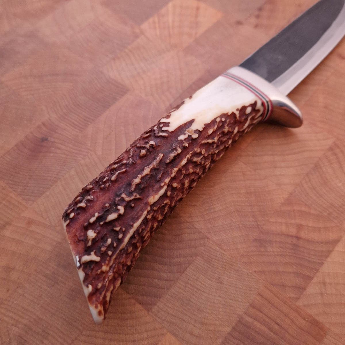 TAKEDA Hunting knife - Stag bilde 5
