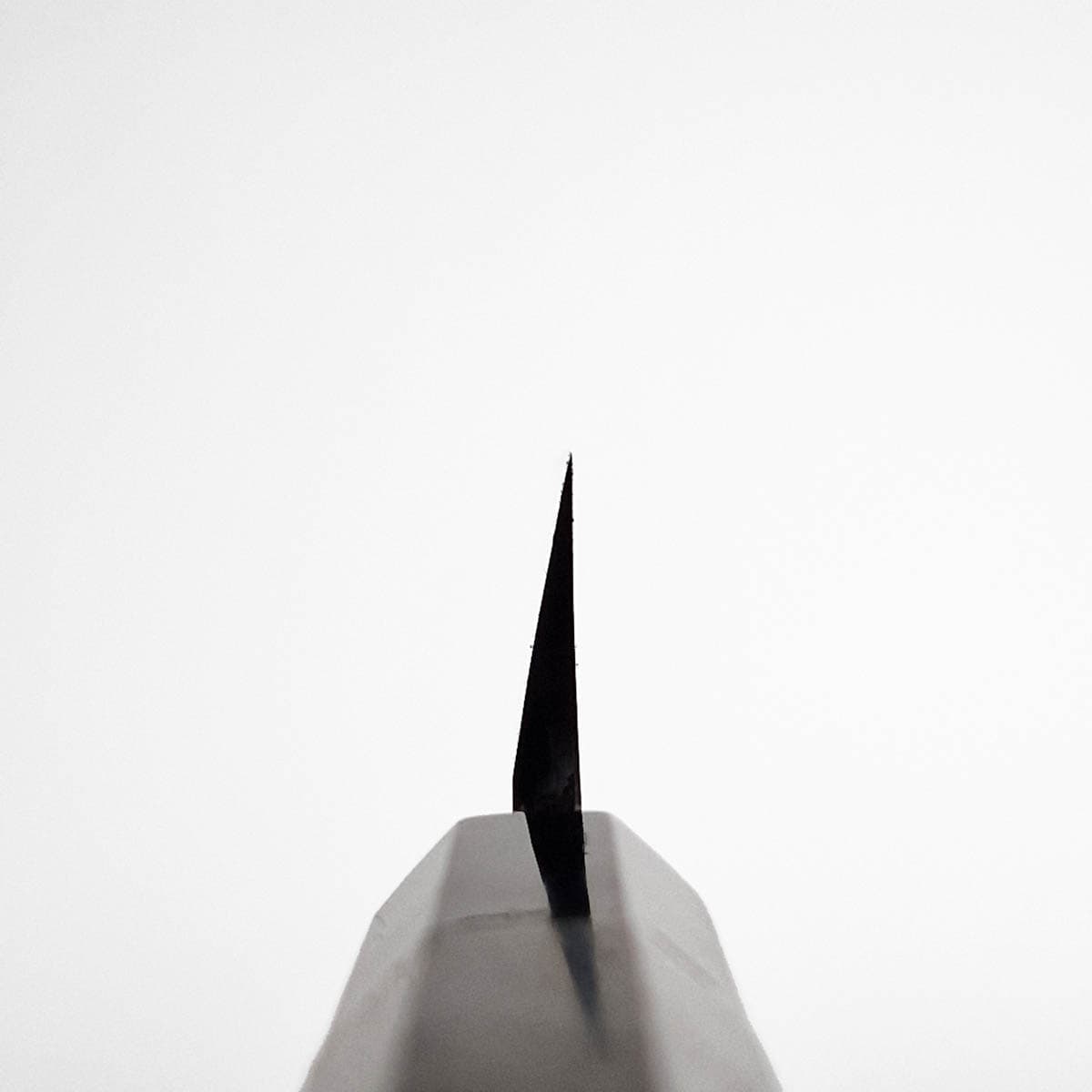30cm Kangata Yanagiba, Swedish steel - Sakai Takayuki bilde 7