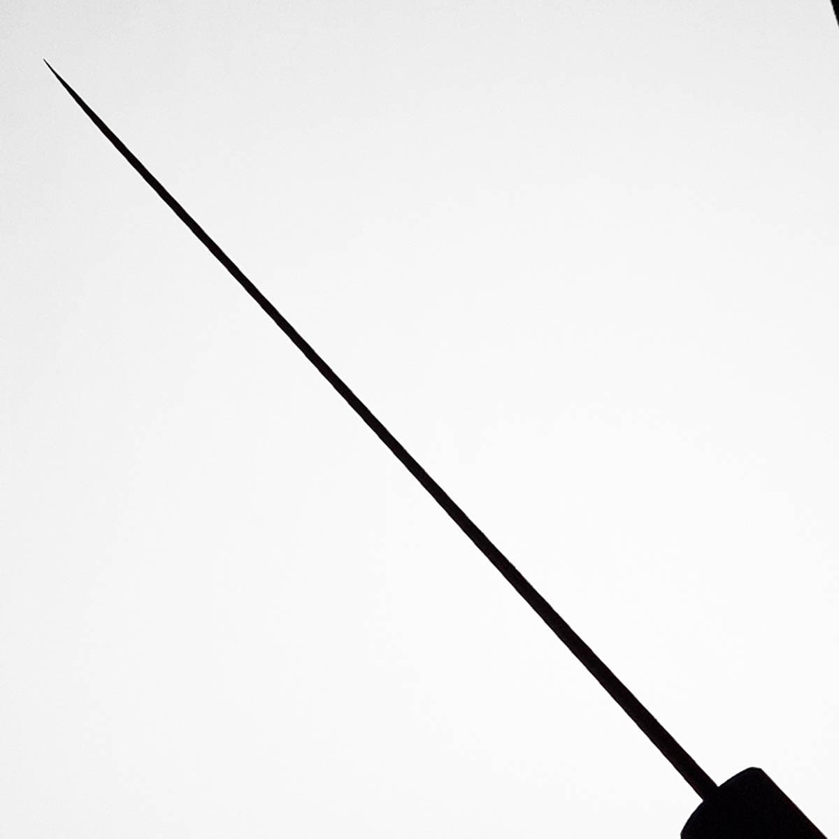 24cm Kokkekniv, "Kumokage", Aogami II - Hatsukokoro bilde 5