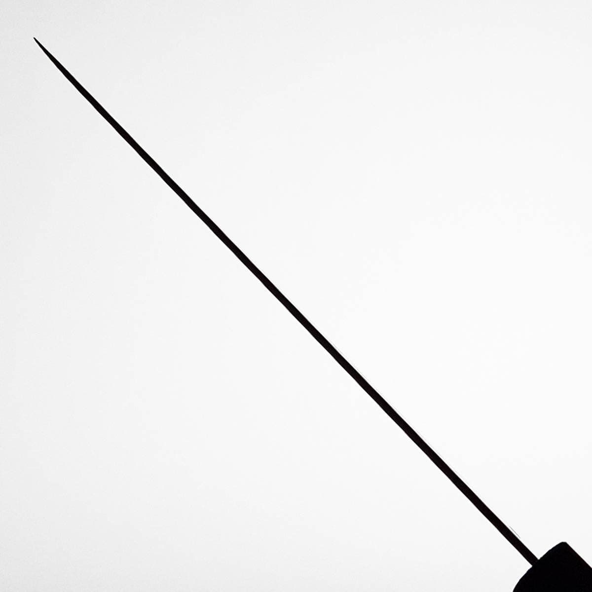 21cm Kokkekniv (Gyoto),  Sakuya - TOJIRO bilde 5