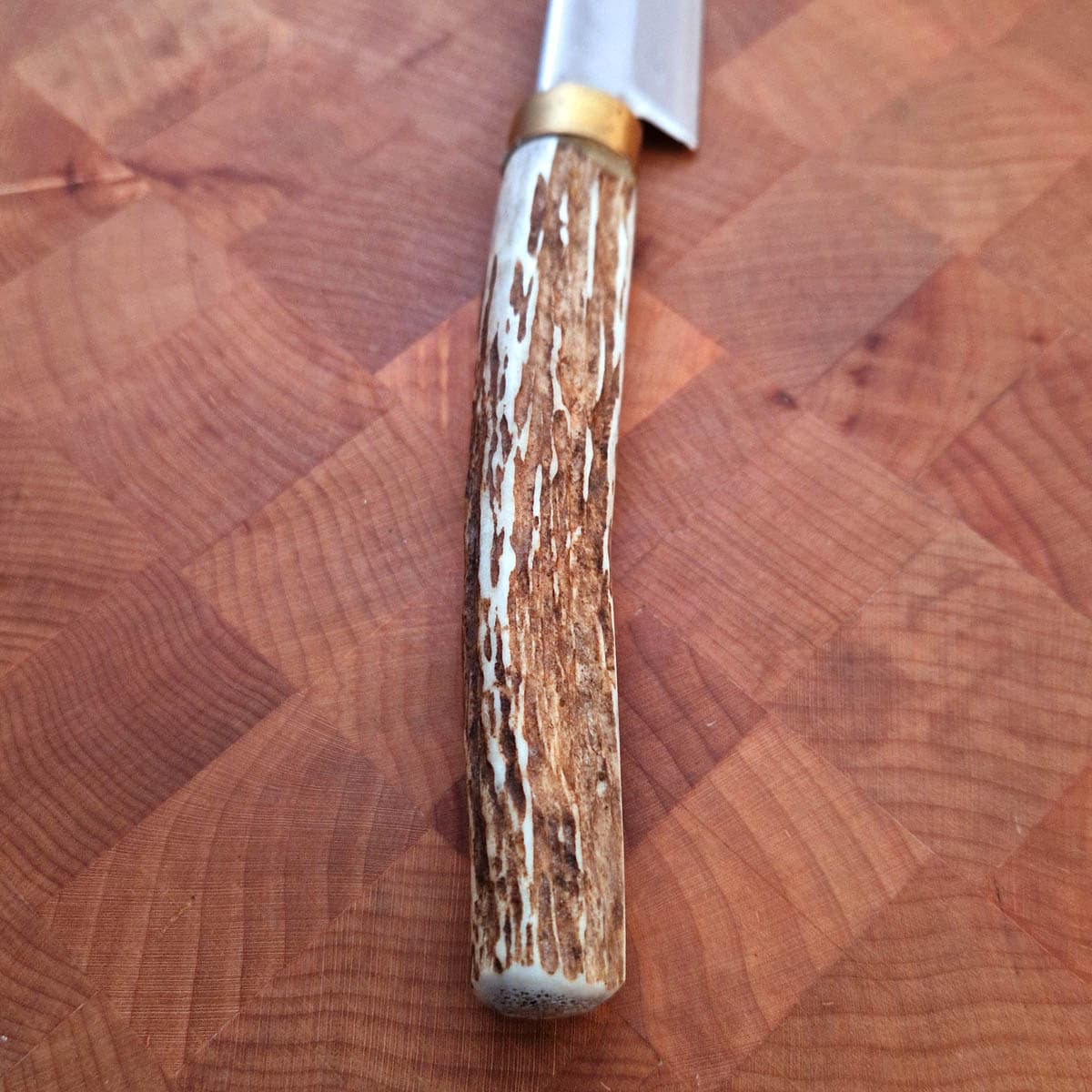 17cm Ko-Yanagiba, "Stag handle", G3 - Saji bilde 4