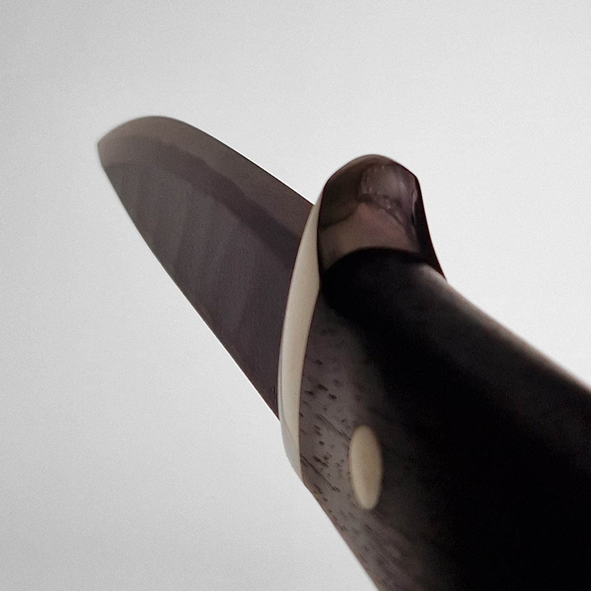 TAKEDA Hunting knife - Cocobolo bilde 7