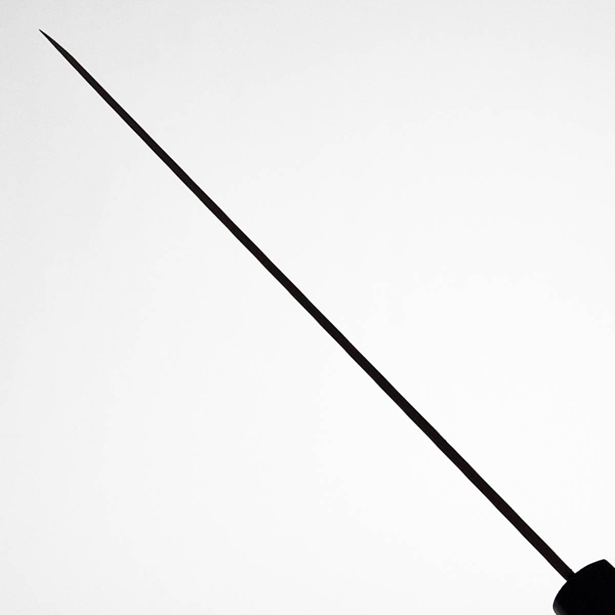 30cm Yanagiba, AUS8, Migaki - HARUYUKI bilde 6
